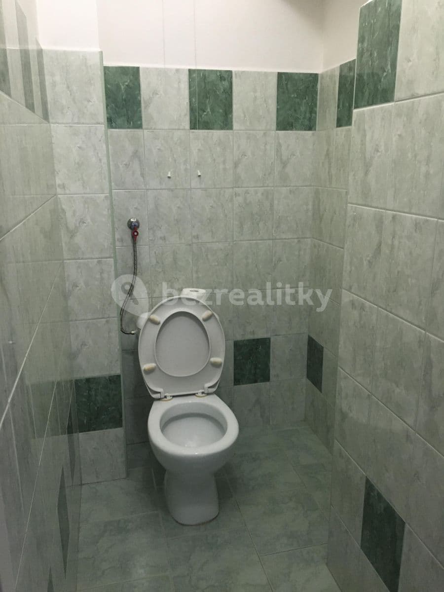 Pronájem bytu 1+1 50 m², Štolcova, Brno, Jihomoravský kraj Pronájem bytu 1+1 50 m², Štolcova, Brno, Jihomoravský kraj