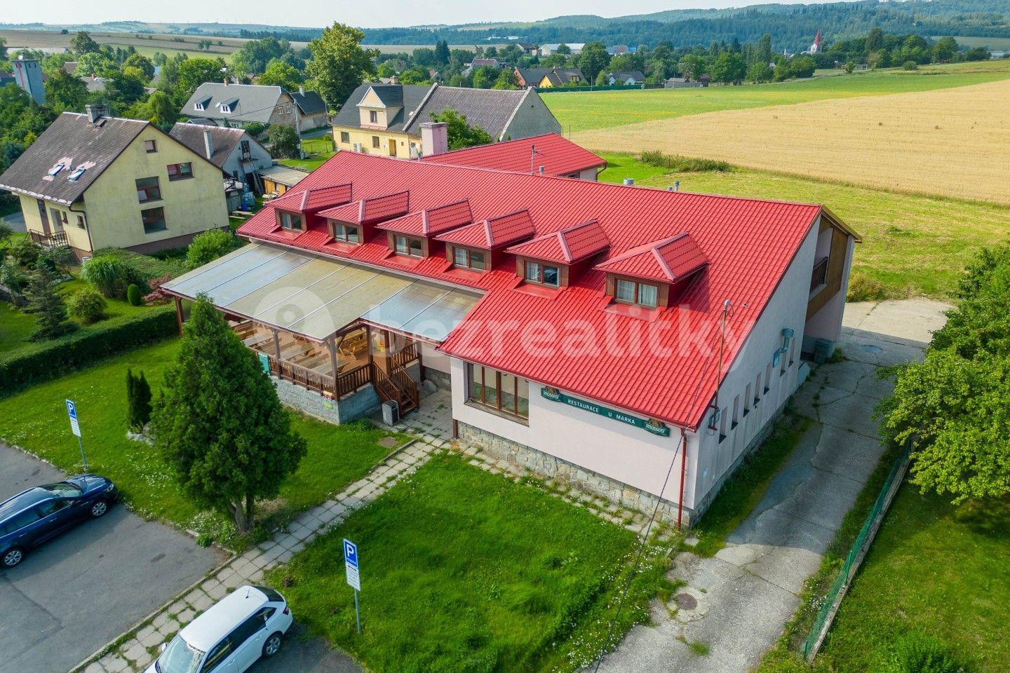 Prodej nebytového prostoru 455 m², Leskovec nad Moravicí, Moravskoslezský kraj