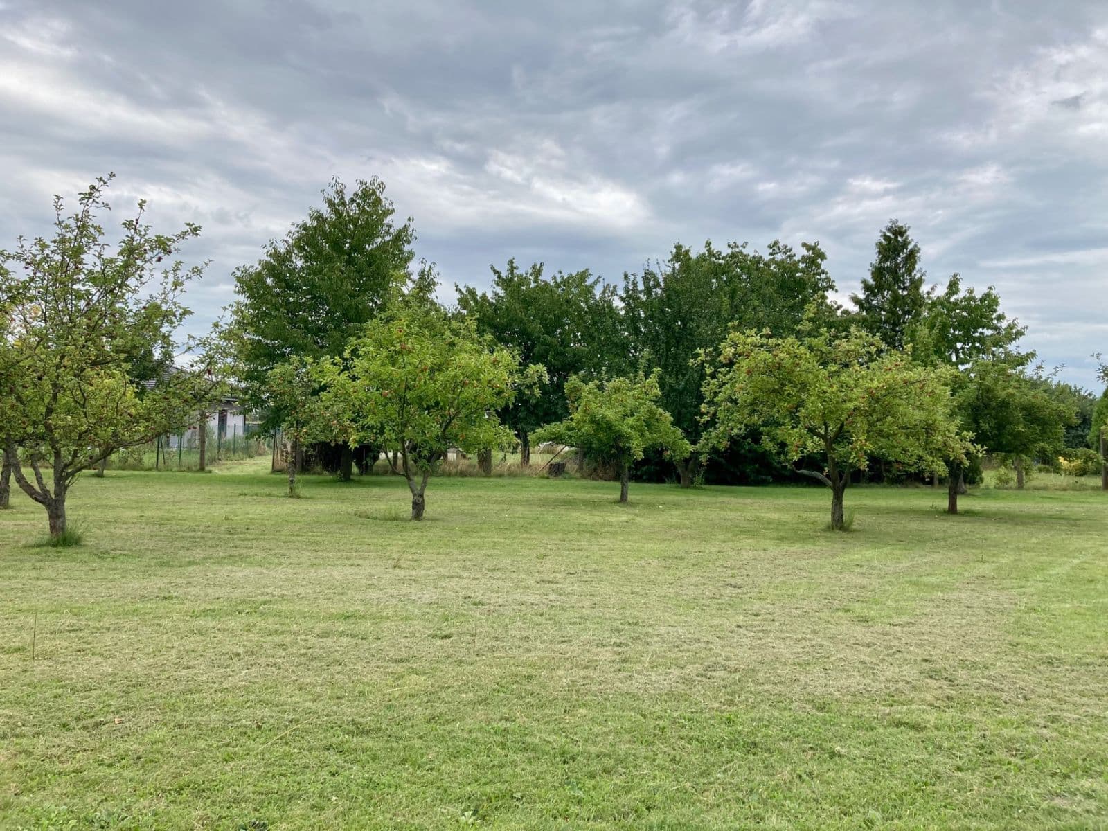 Prodej pozemku 1.165 m², Ke Trati, Pavlov, Středočeský kraj Prodej pozemku 1.165 m², Ke Trati, Pavlov, Středočeský kraj