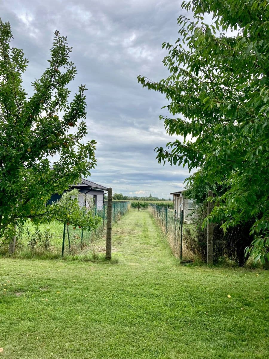 Prodej pozemku 1.165 m², Ke Trati, Pavlov, Středočeský kraj Prodej pozemku 1.165 m², Ke Trati, Pavlov, Středočeský kraj