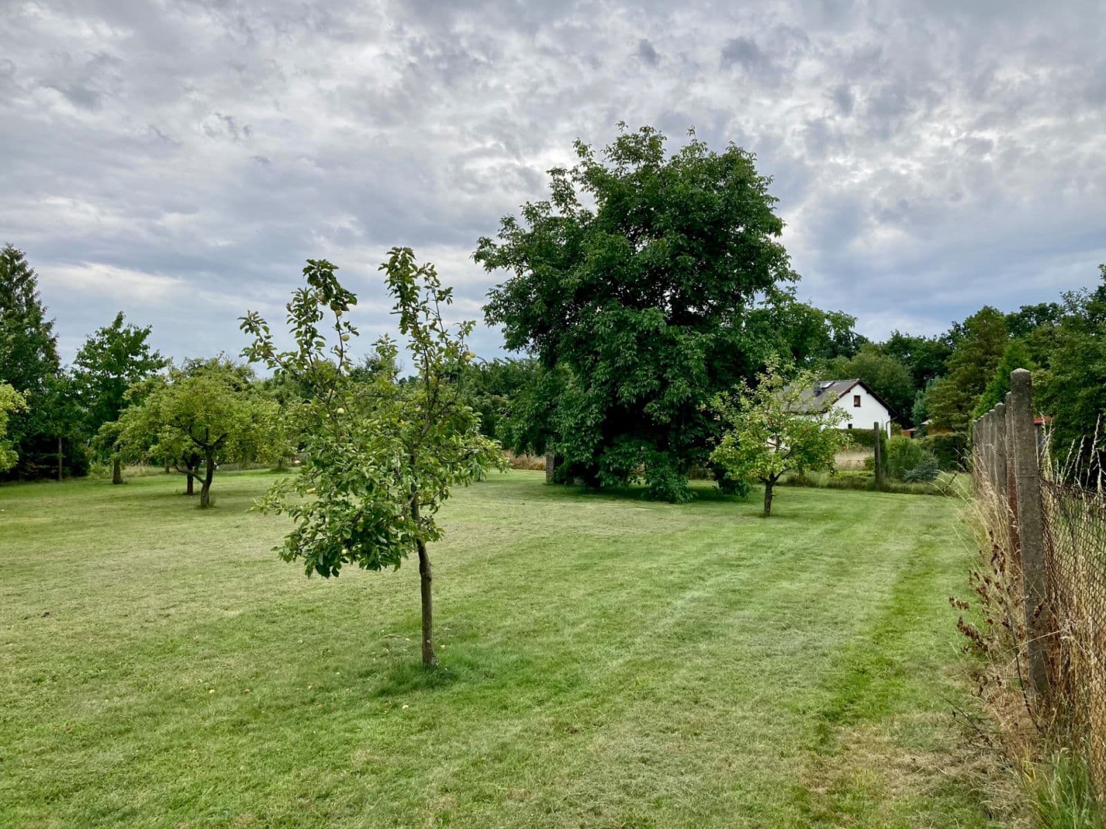 Prodej pozemku 1.165 m², Ke Trati, Pavlov, Středočeský kraj Prodej pozemku 1.165 m², Ke Trati, Pavlov, Středočeský kraj