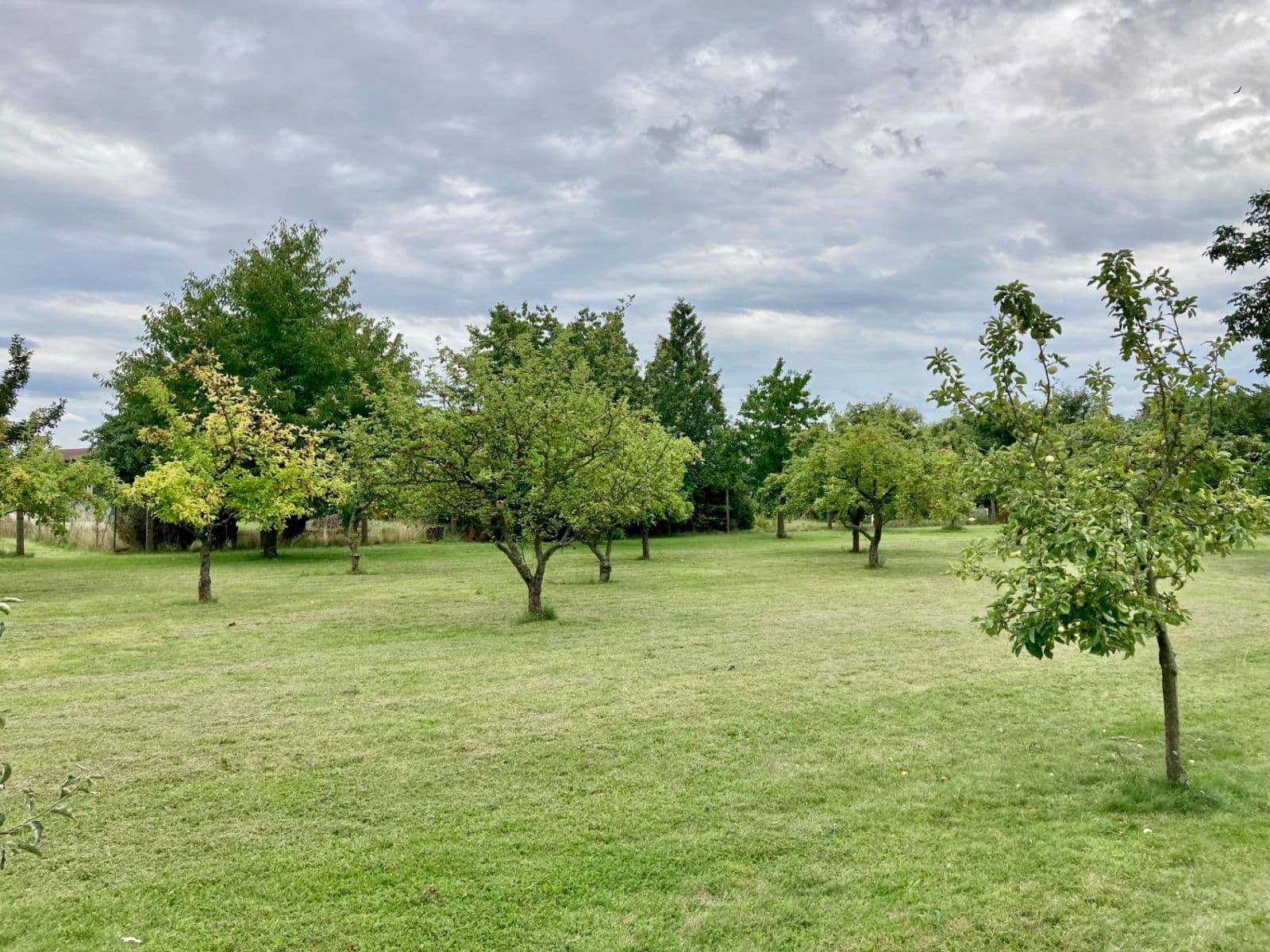 Prodej pozemku 1.165 m², Ke Trati, Pavlov, Středočeský kraj Prodej pozemku 1.165 m², Ke Trati, Pavlov, Středočeský kraj