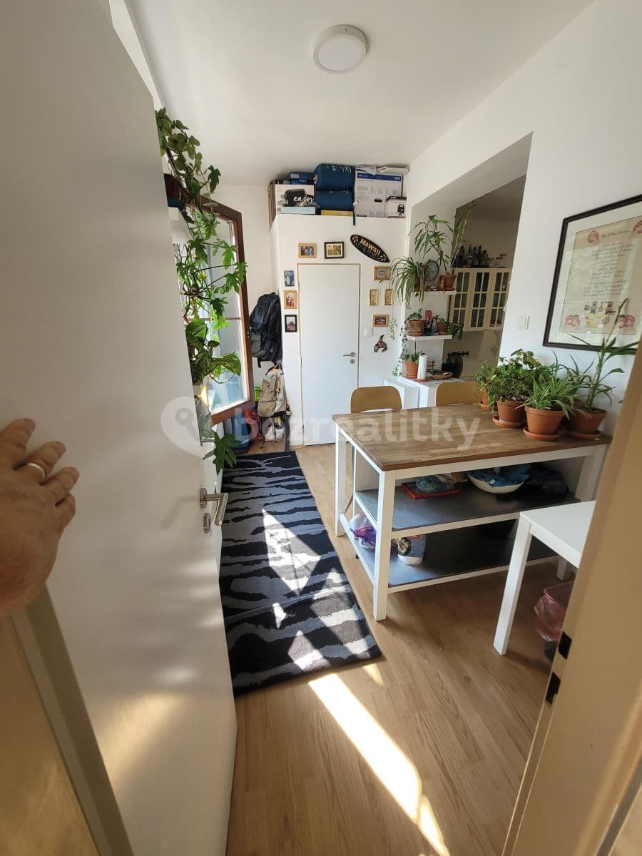 Pronájem bytu 2+1 54 m², Jílkova, Brno, Jihomoravský kraj Pronájem bytu 2+1 54 m², Jílkova, Brno, Jihomoravský kraj