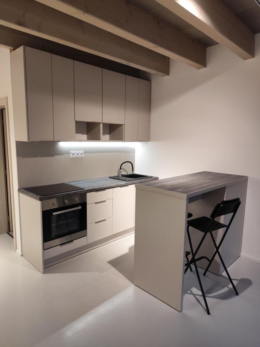 Pronájem bytu 1+kk 30 m², Myslbekova, Brno, Jihomoravský kraj Pronájem bytu 1+kk 30 m², Myslbekova, Brno, Jihomoravský kraj