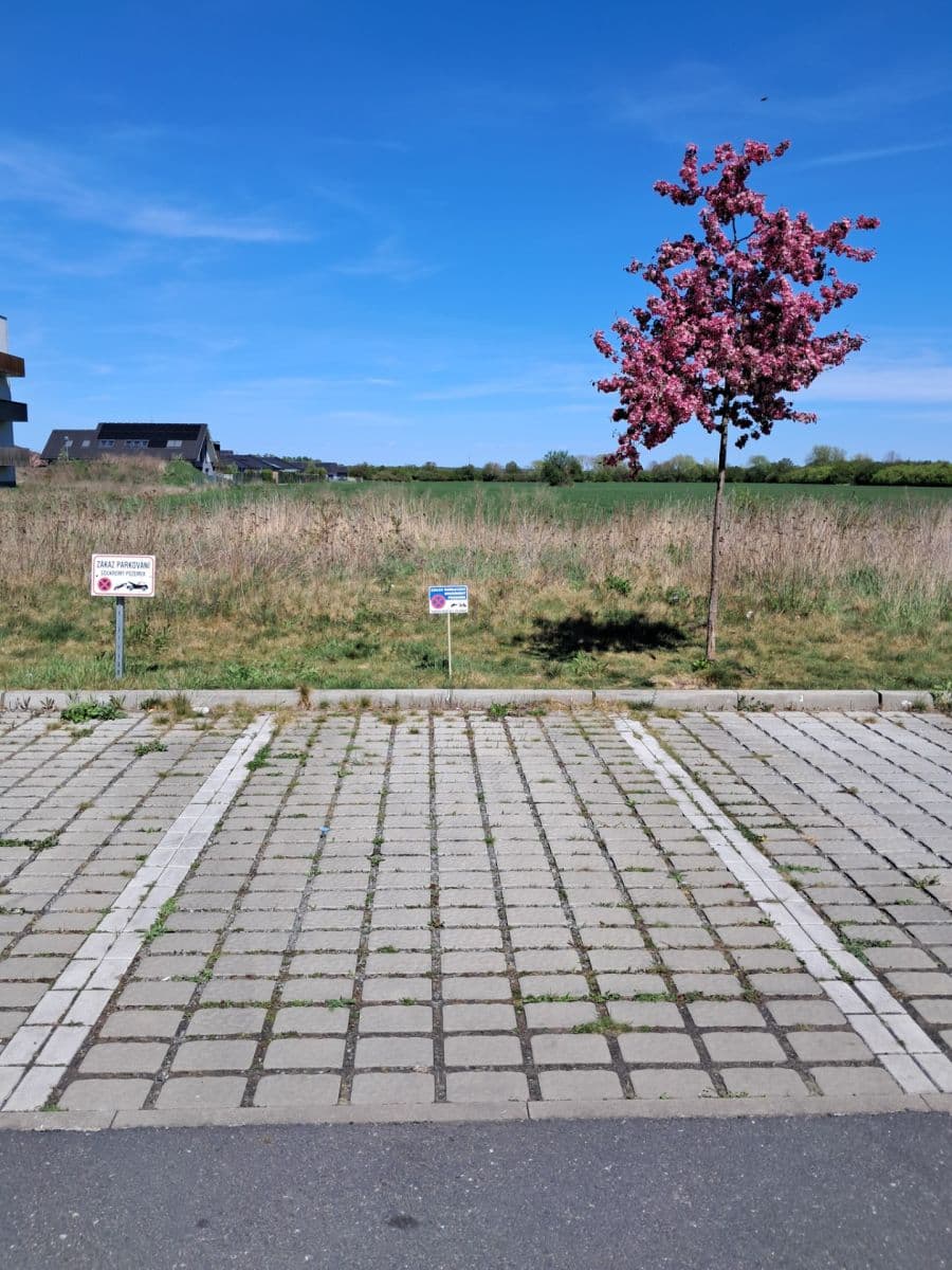 Pronájem bytu 1+kk 32 m², Nerudova, Poděbrady, Středočeský kraj Pronájem bytu 1+kk 32 m², Nerudova, Poděbrady, Středočeský kraj