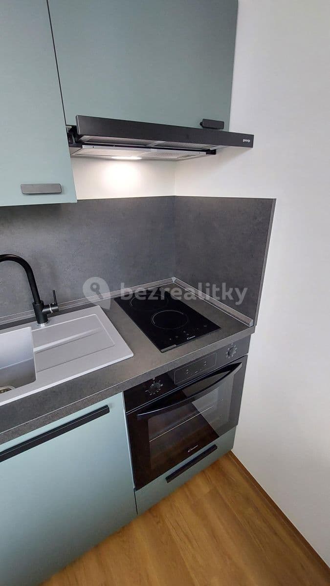 Pronájem bytu Garsoniéra 33 m², Děkanská vinice Ⅱ, Praha, Praha Pronájem bytu Garsoniéra 33 m², Děkanská vinice Ⅱ, Praha, Praha