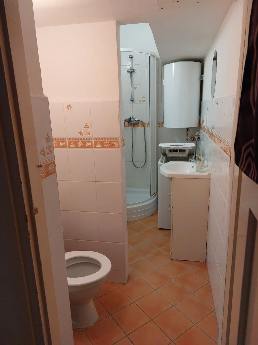 Pronájem bytu Garsoniéra 24 m², Mezníkova, Brno, Jihomoravský kraj Pronájem bytu Garsoniéra 24 m², Mezníkova, Brno, Jihomoravský kraj