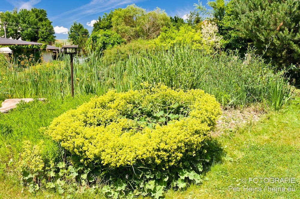Prodej domu 250 m², pozemek 2.400 m², Středokluky, Středokluky, Středočeský kraj Prodej domu 250 m², pozemek 2.400 m², Středokluky, Středokluky, Středočeský kraj