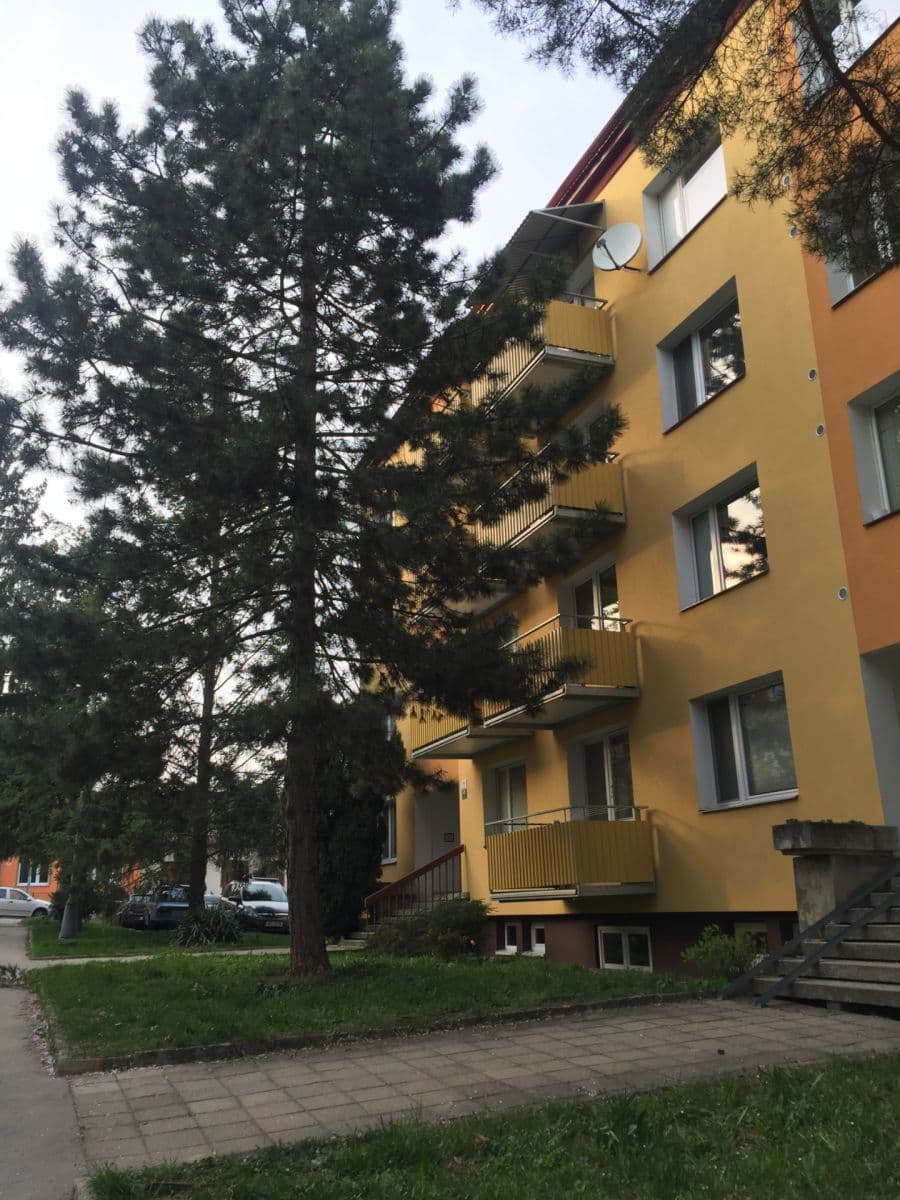 Pronájem bytu 1+1 38 m², Vondrákova, Brno, Jihomoravský kraj Pronájem bytu 1+1 38 m², Vondrákova, Brno, Jihomoravský kraj