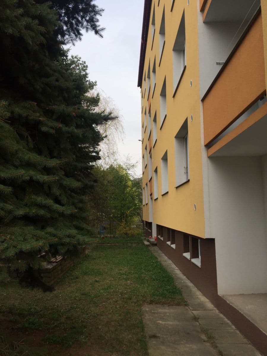 Pronájem bytu 1+1 38 m², Vondrákova, Brno, Jihomoravský kraj Pronájem bytu 1+1 38 m², Vondrákova, Brno, Jihomoravský kraj