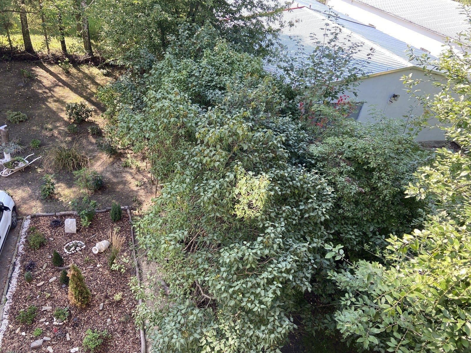 Pronájem bytu 3+1 69 m², Kapitána Jasioka, Havířov, Moravskoslezský kraj Pronájem bytu 3+1 69 m², Kapitána Jasioka, Havířov, Moravskoslezský kraj