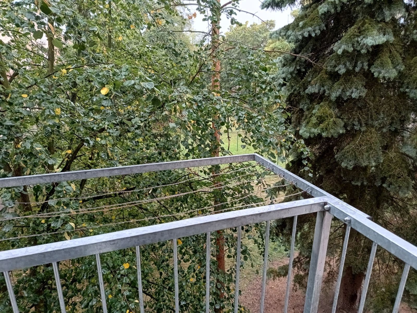 Pronájem bytu 2+kk 52 m², Alešova, Plzeň, Plzeňský kraj Pronájem bytu 2+kk 52 m², Alešova, Plzeň, Plzeňský kraj