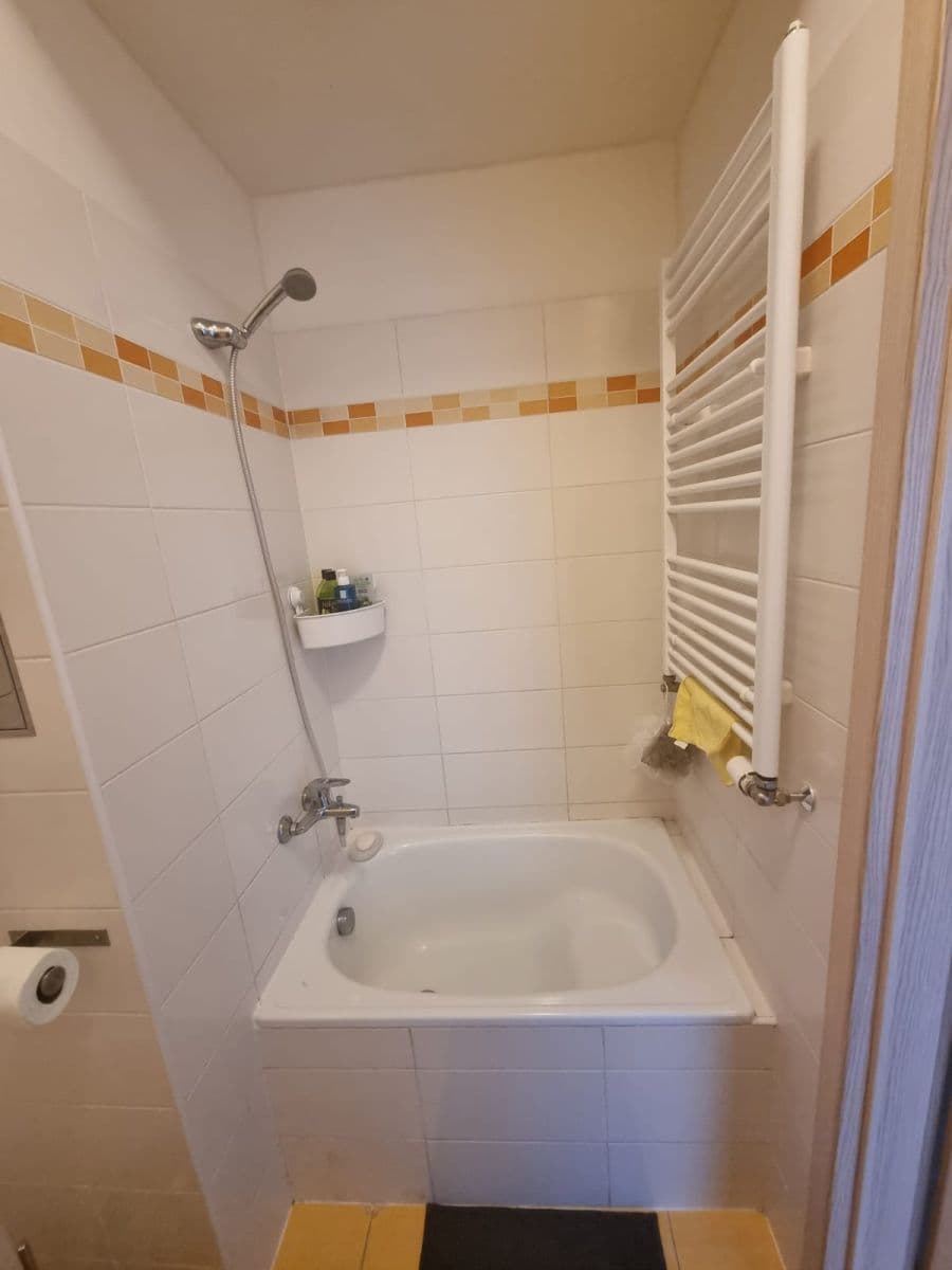 Pronájem bytu 1+kk 23 m², Praha, Praha Pronájem bytu 1+kk 23 m², Praha, Praha