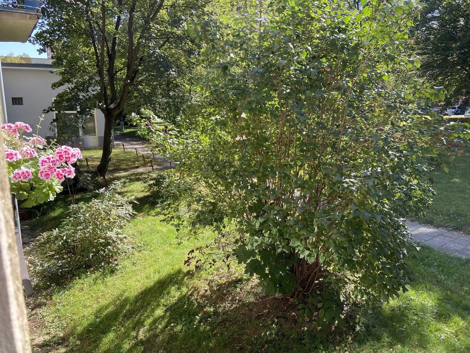 Pronájem bytu 1+kk 20 m², Ostrovského, Havířov, Moravskoslezský kraj Pronájem bytu 1+kk 20 m², Ostrovského, Havířov, Moravskoslezský kraj