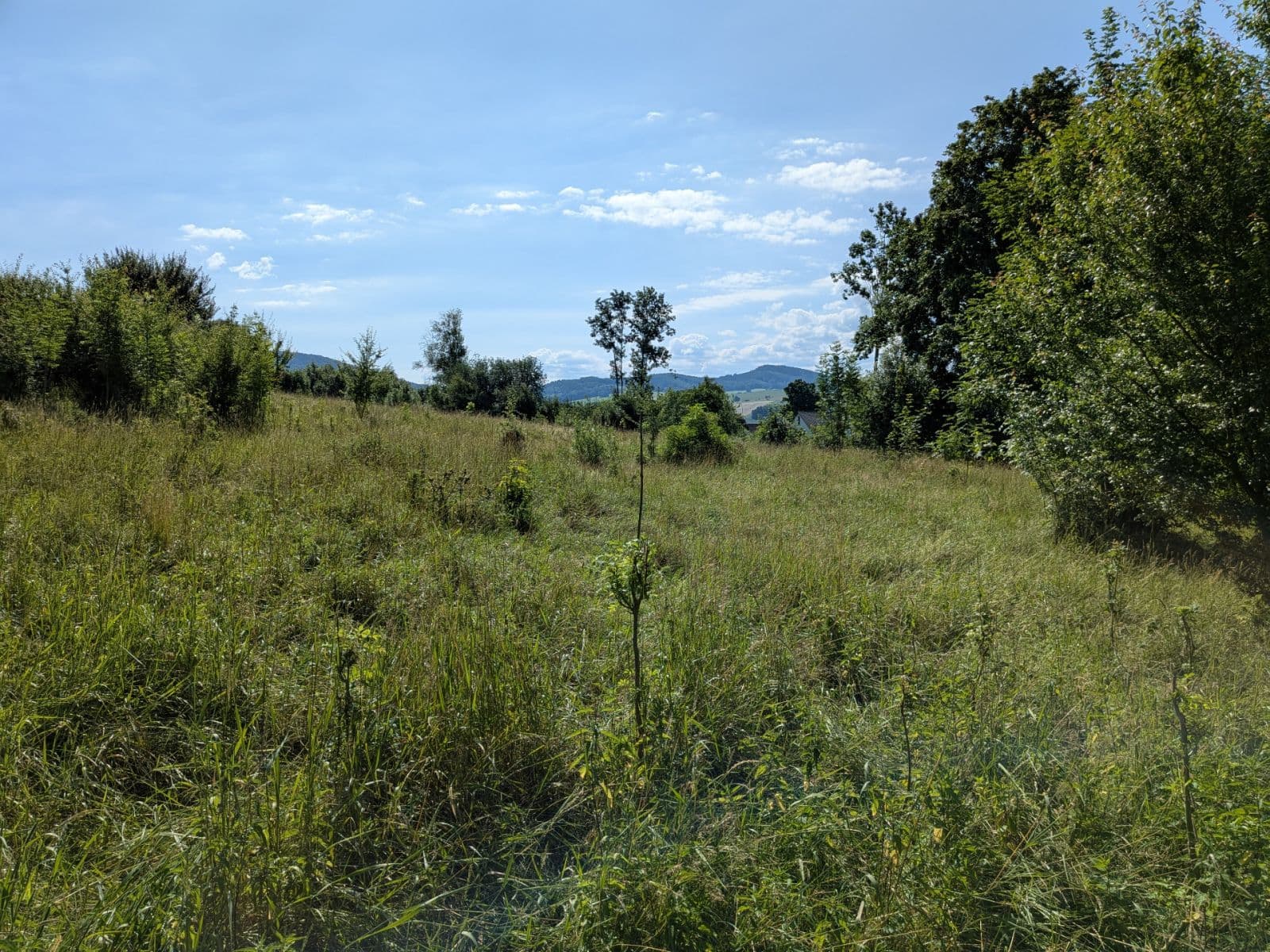 Prodej pozemku 11.768 m², Všeruby, Plzeňský kraj Prodej pozemku 11.768 m², Všeruby, Plzeňský kraj