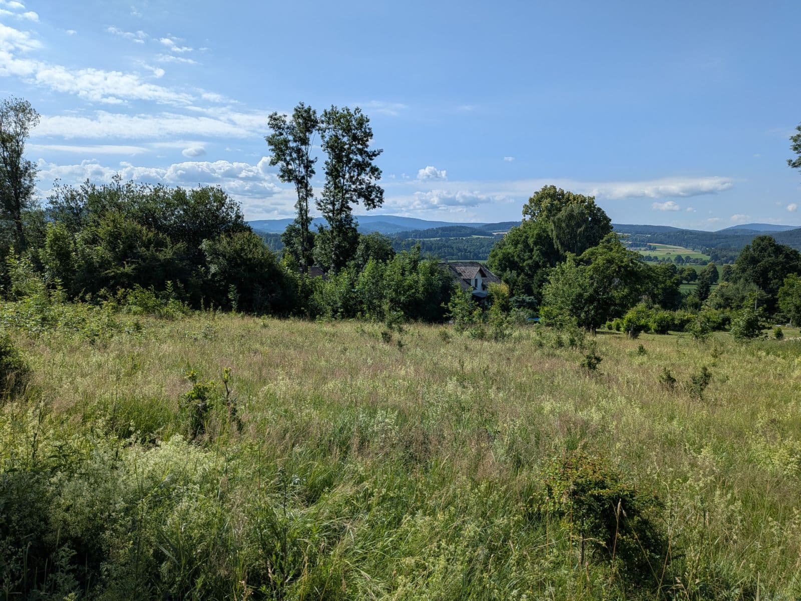 Prodej pozemku 11.768 m², Všeruby, Plzeňský kraj Prodej pozemku 11.768 m², Všeruby, Plzeňský kraj