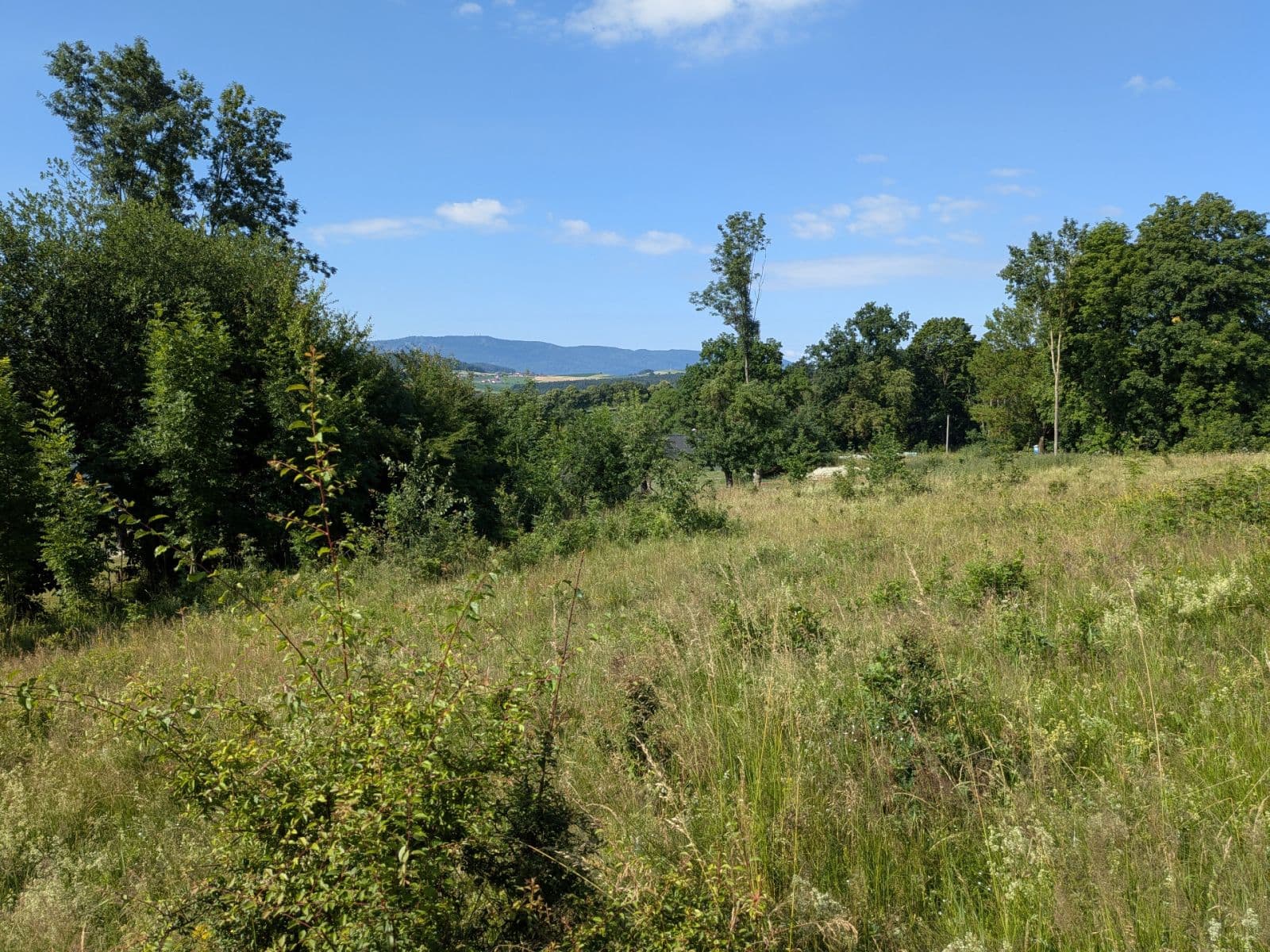 Prodej pozemku 11.768 m², Všeruby, Plzeňský kraj Prodej pozemku 11.768 m², Všeruby, Plzeňský kraj