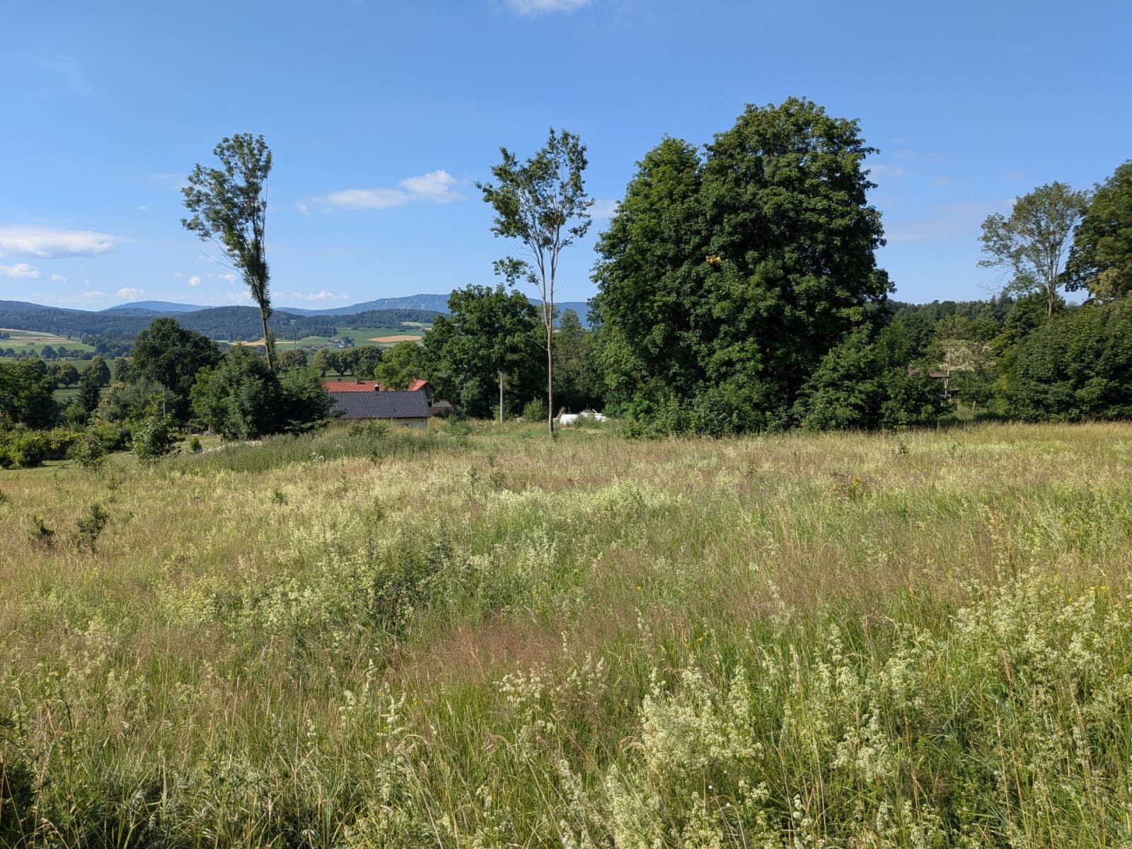 Prodej pozemku 11.768 m², Všeruby, Plzeňský kraj Prodej pozemku 11.768 m², Všeruby, Plzeňský kraj