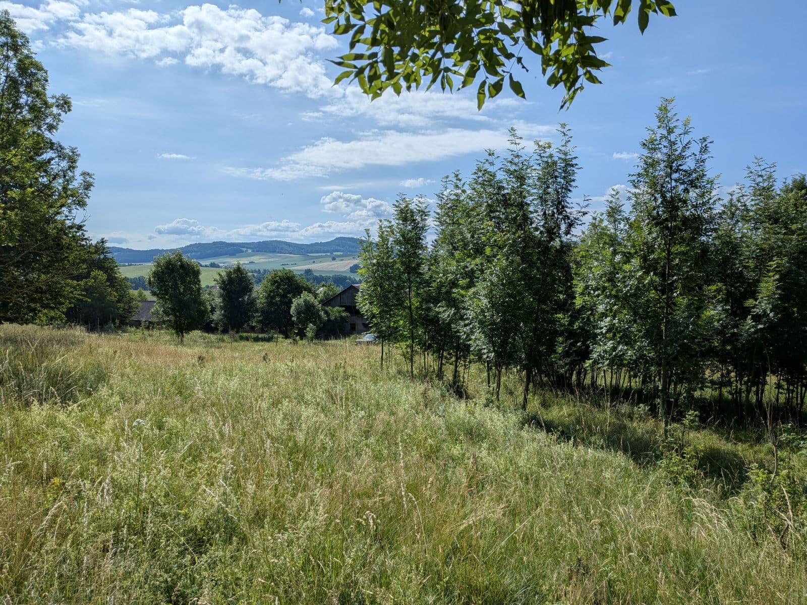 Prodej pozemku 11.768 m², Všeruby, Plzeňský kraj Prodej pozemku 11.768 m², Všeruby, Plzeňský kraj