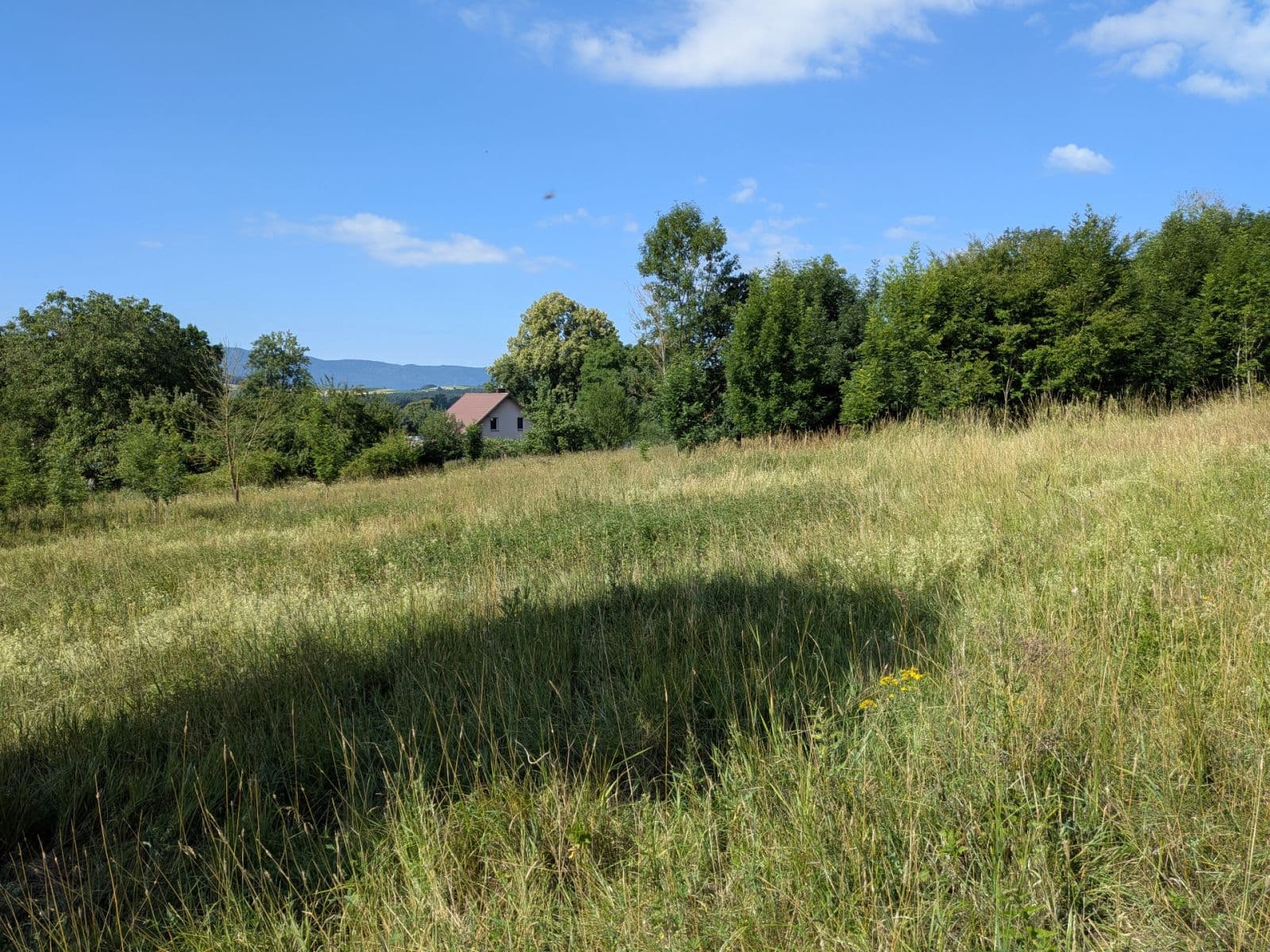 Prodej pozemku 11.768 m², Všeruby, Plzeňský kraj Prodej pozemku 11.768 m², Všeruby, Plzeňský kraj