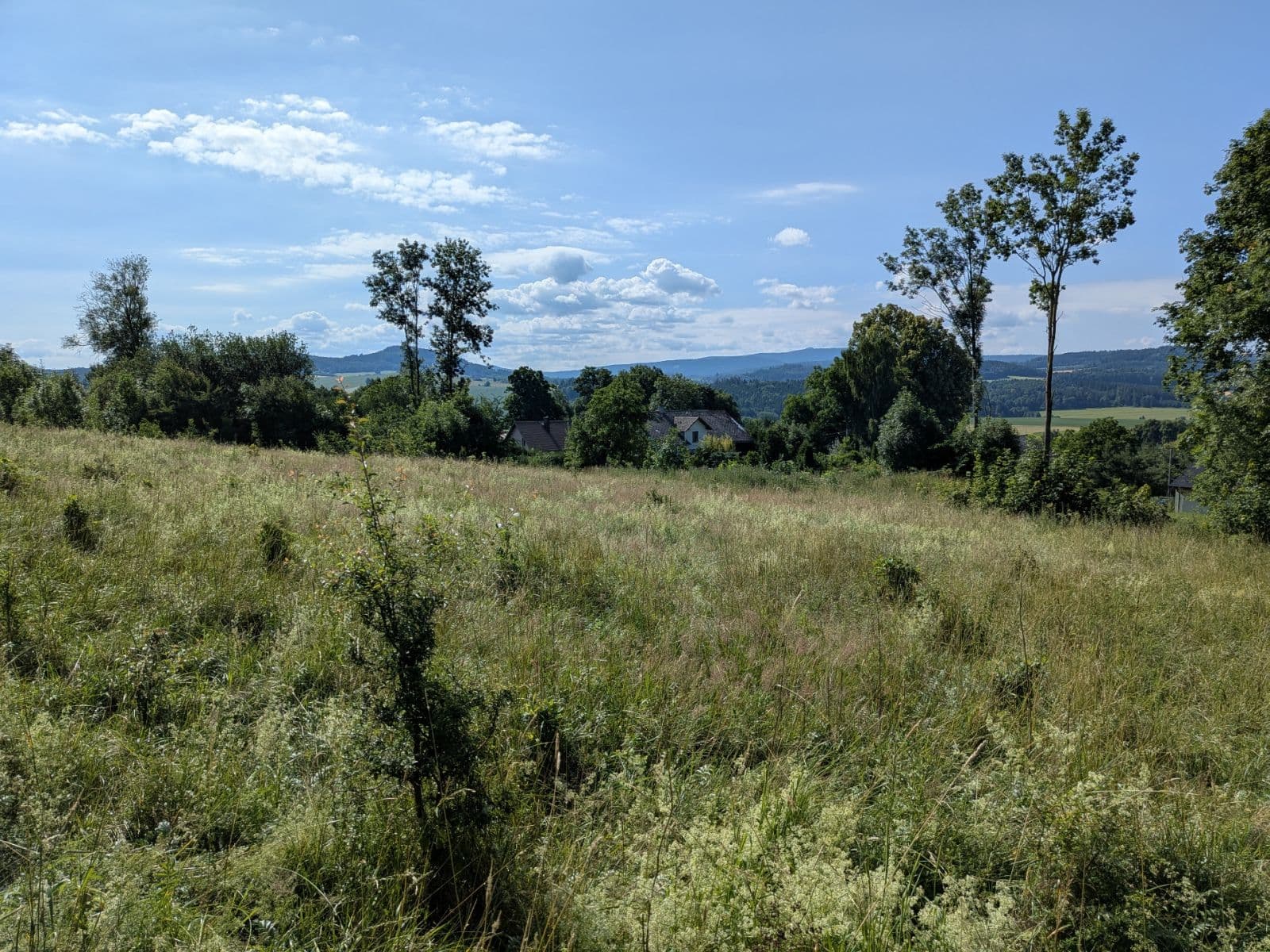 Prodej pozemku 11.768 m², Všeruby, Plzeňský kraj Prodej pozemku 11.768 m², Všeruby, Plzeňský kraj