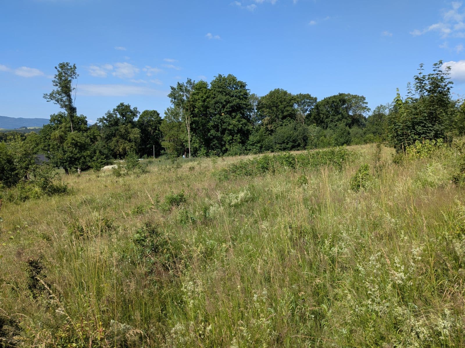 Prodej pozemku 11.768 m², Všeruby, Plzeňský kraj Prodej pozemku 11.768 m², Všeruby, Plzeňský kraj