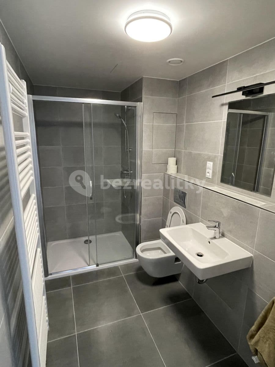 Pronájem bytu 1+kk 38 m², Ve Lhotce, Praha, Praha Pronájem bytu 1+kk 38 m², Ve Lhotce, Praha, Praha