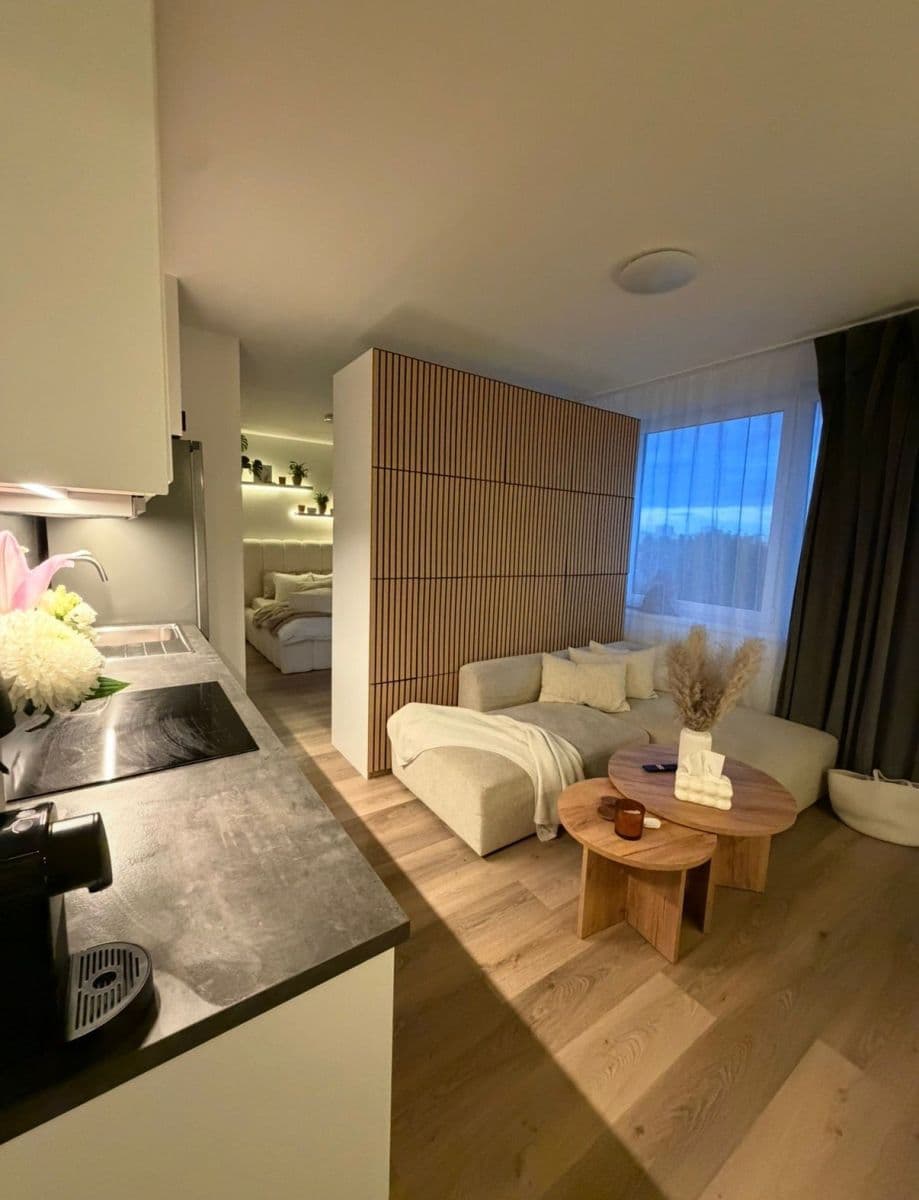 Pronájem bytu 1+kk 38 m², Ve Lhotce, Praha, Praha Pronájem bytu 1+kk 38 m², Ve Lhotce, Praha, Praha