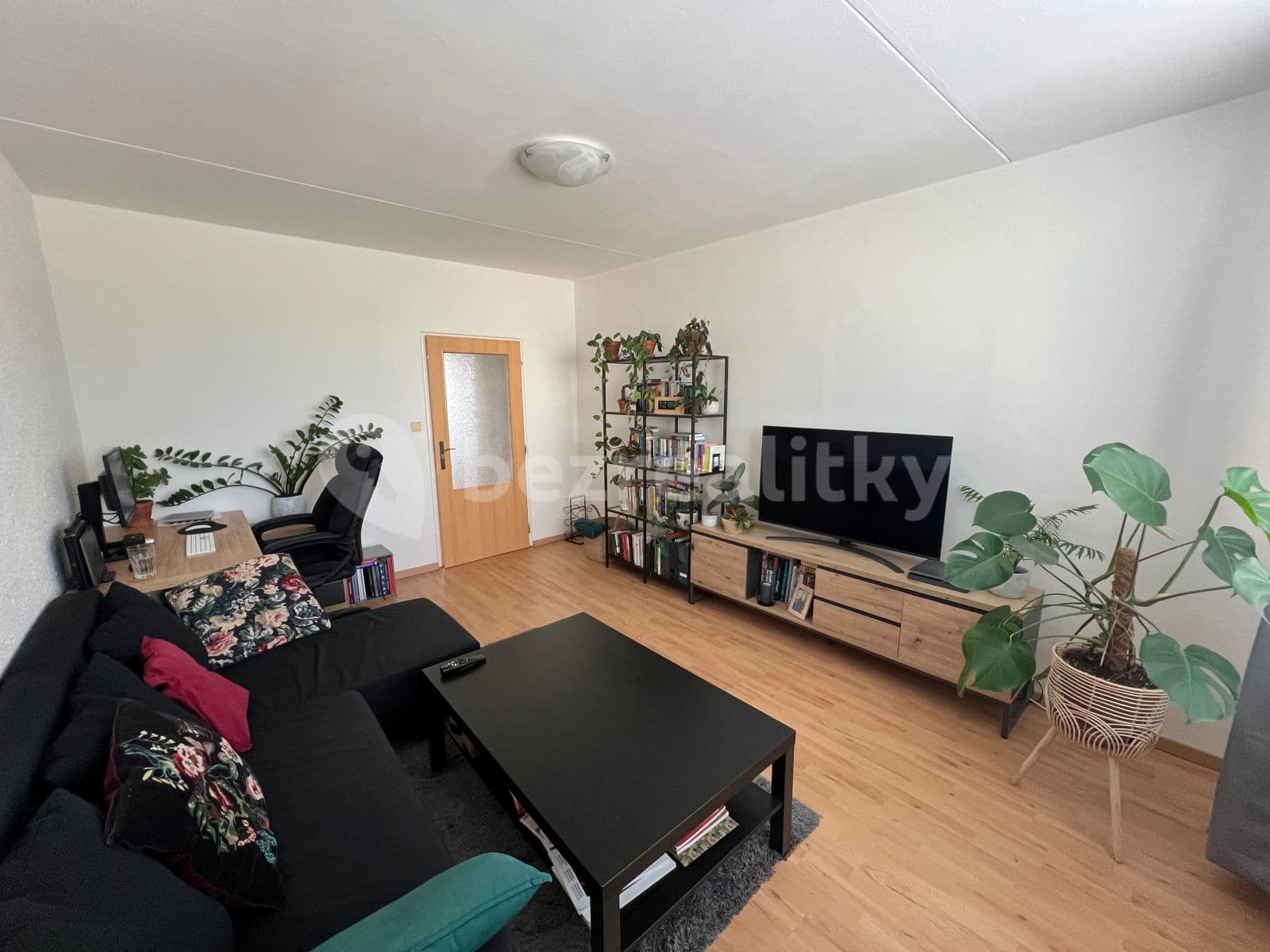 Pronájem bytu 2+1 59 m², Jírovcova, Brno, Jihomoravský kraj Pronájem bytu 2+1 59 m², Jírovcova, Brno, Jihomoravský kraj