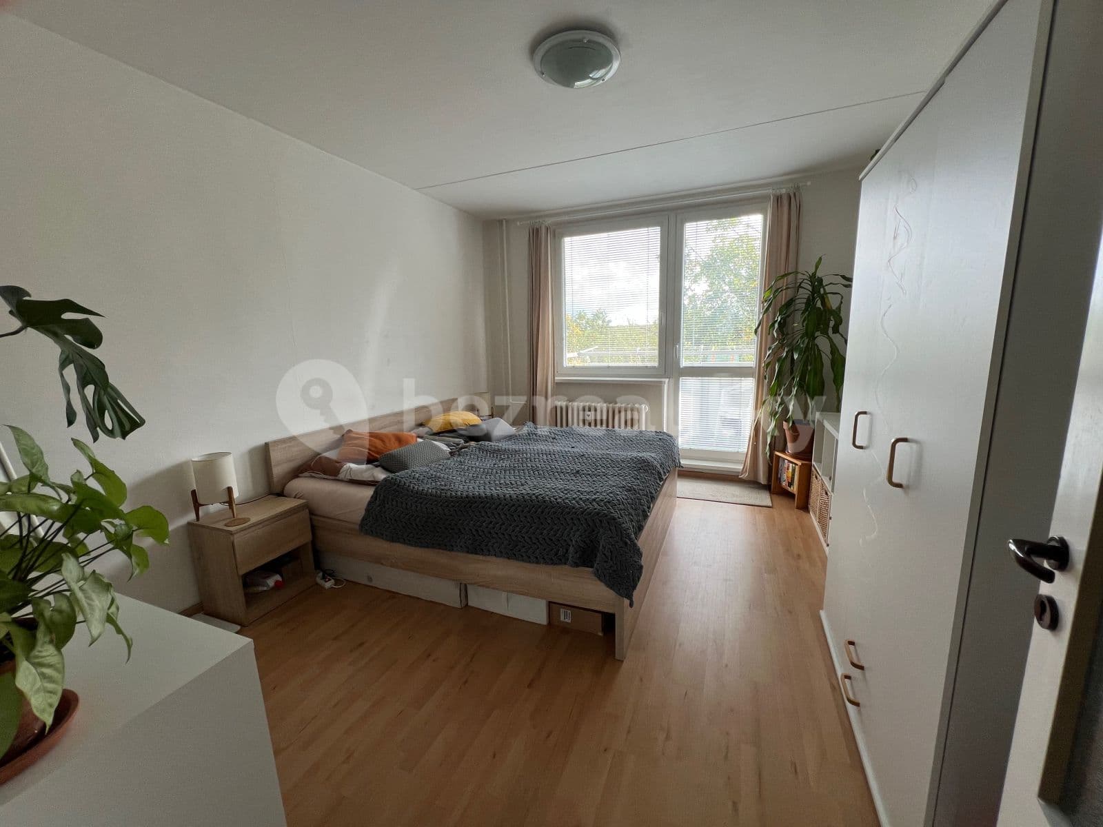 Pronájem bytu 2+1 59 m², Jírovcova, Brno, Jihomoravský kraj Pronájem bytu 2+1 59 m², Jírovcova, Brno, Jihomoravský kraj