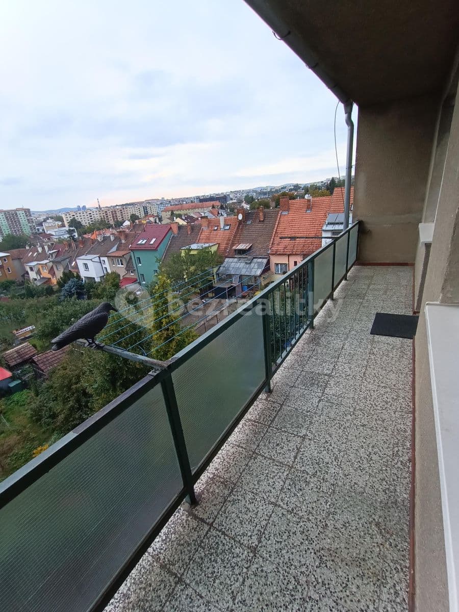 Pronájem bytu 1+1 51 m², Šaumannova, Brno, Jihomoravský kraj Pronájem bytu 1+1 51 m², Šaumannova, Brno, Jihomoravský kraj