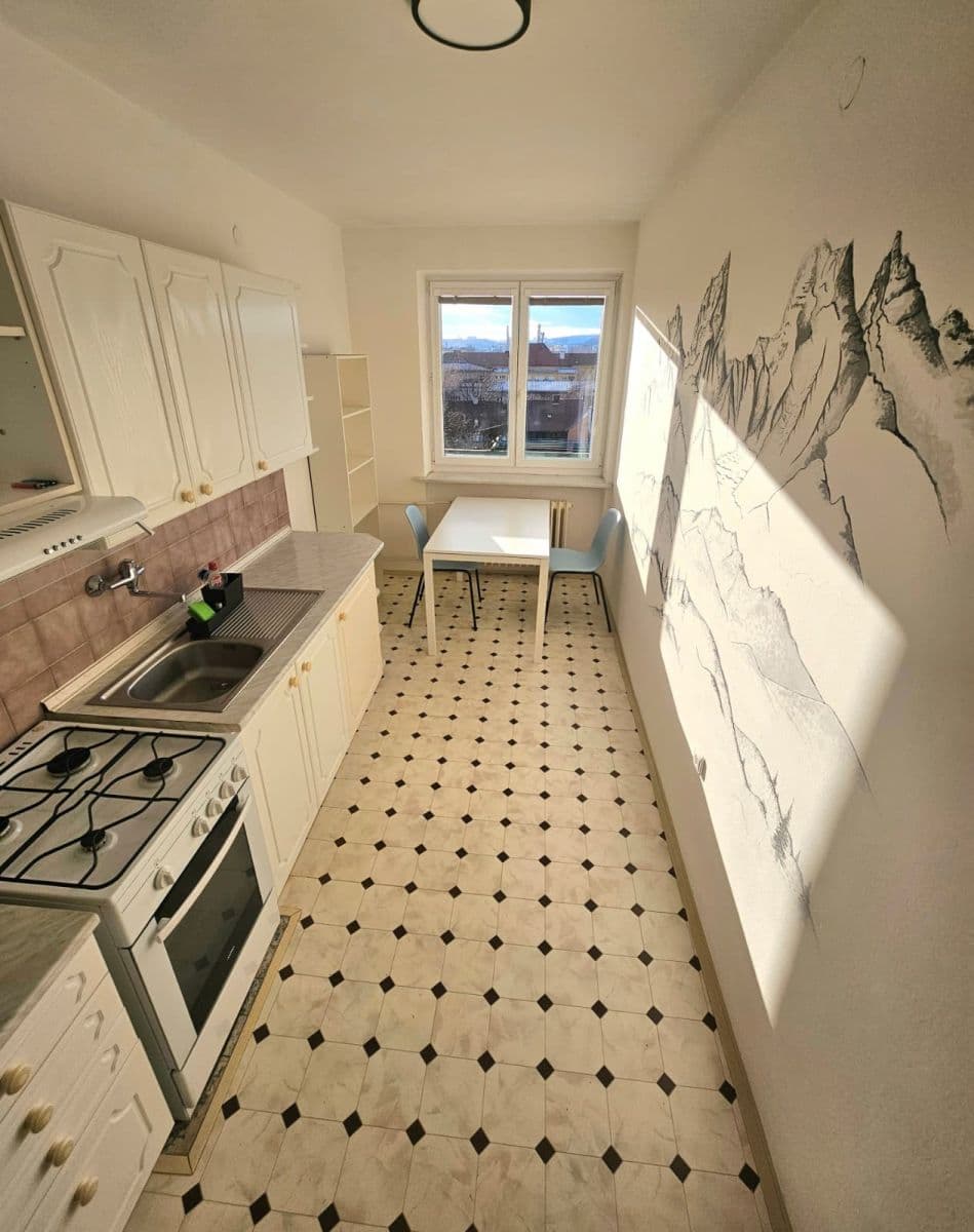 Pronájem bytu 1+1 51 m², Šaumannova, Brno, Jihomoravský kraj Pronájem bytu 1+1 51 m², Šaumannova, Brno, Jihomoravský kraj