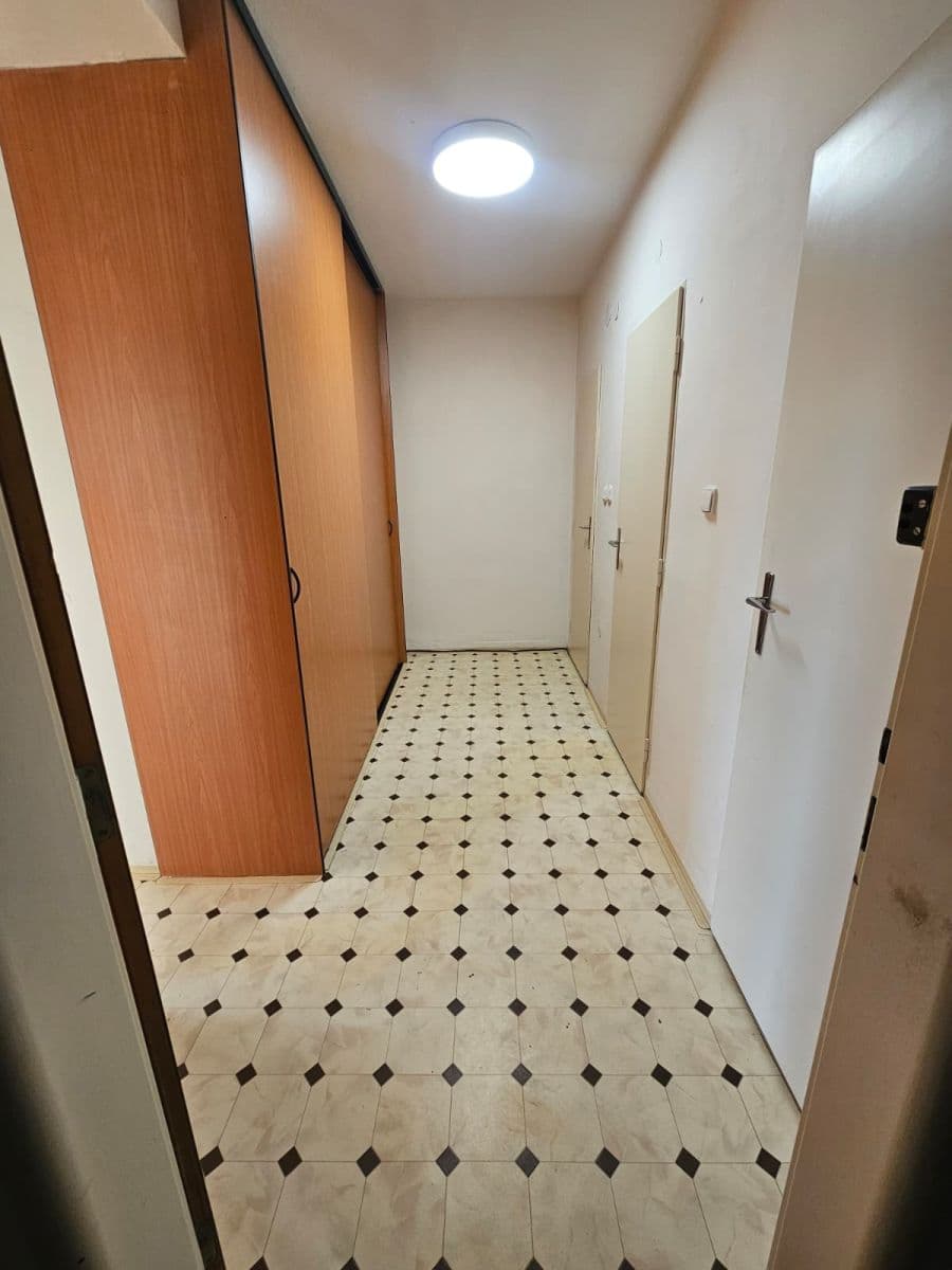 Pronájem bytu 1+1 51 m², Šaumannova, Brno, Jihomoravský kraj Pronájem bytu 1+1 51 m², Šaumannova, Brno, Jihomoravský kraj