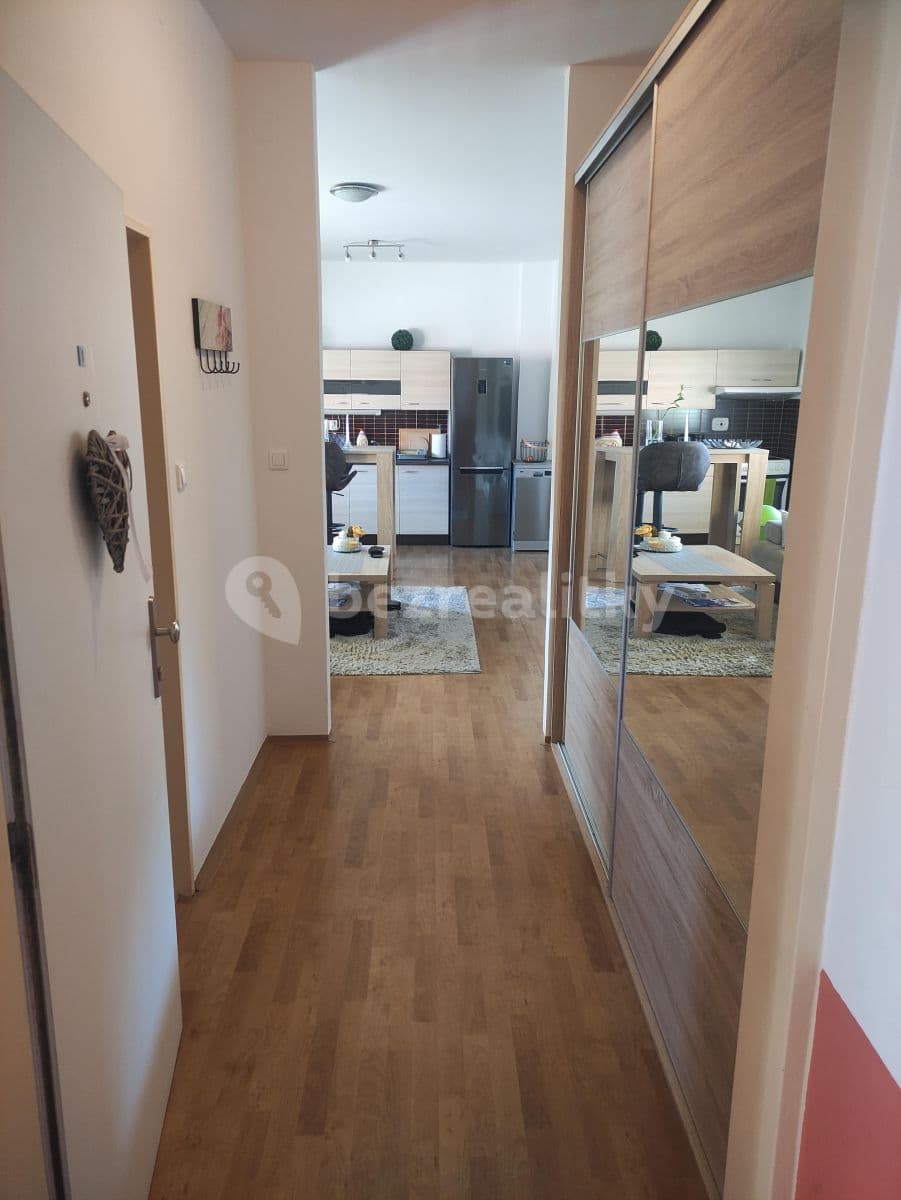 Pronájem bytu 2+kk 60 m², Palackého, Ostrava, Moravskoslezský kraj Pronájem bytu 2+kk 60 m², Palackého, Ostrava, Moravskoslezský kraj