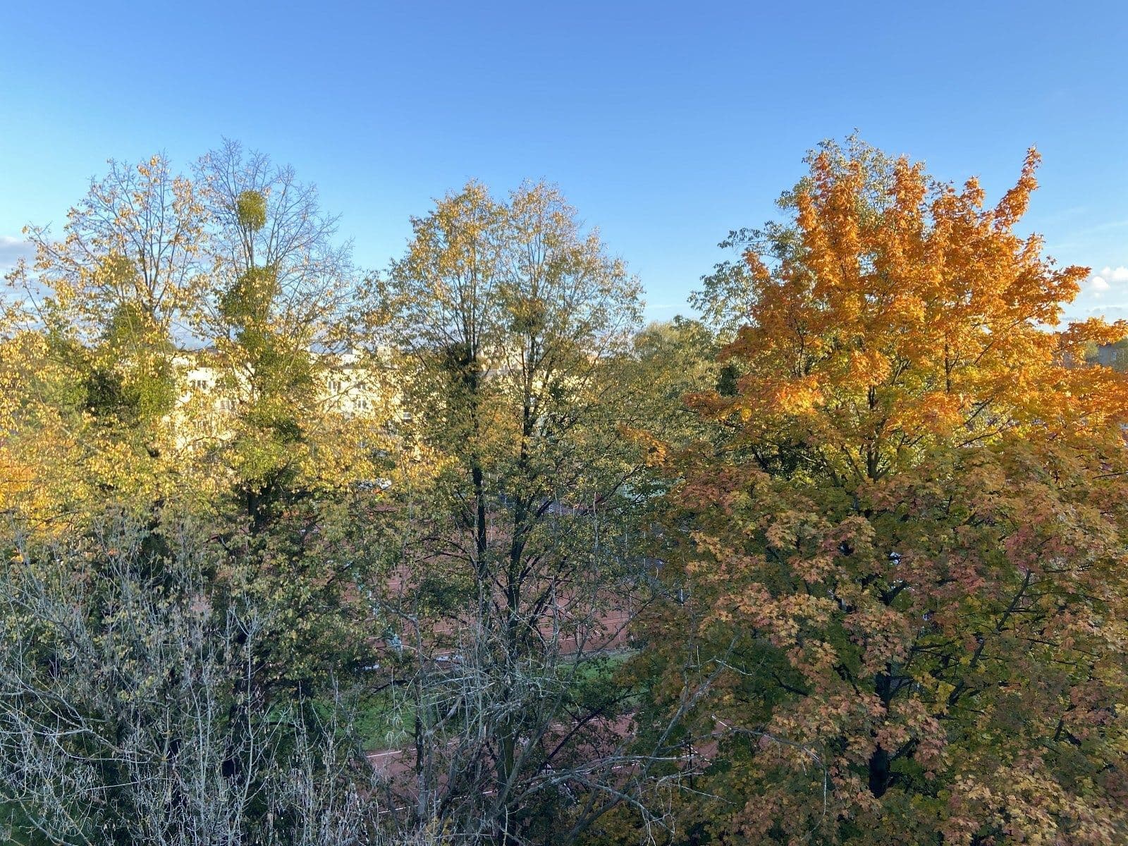 Pronájem bytu 3+1 67 m², Edisonova, Havířov, Moravskoslezský kraj Pronájem bytu 3+1 67 m², Edisonova, Havířov, Moravskoslezský kraj