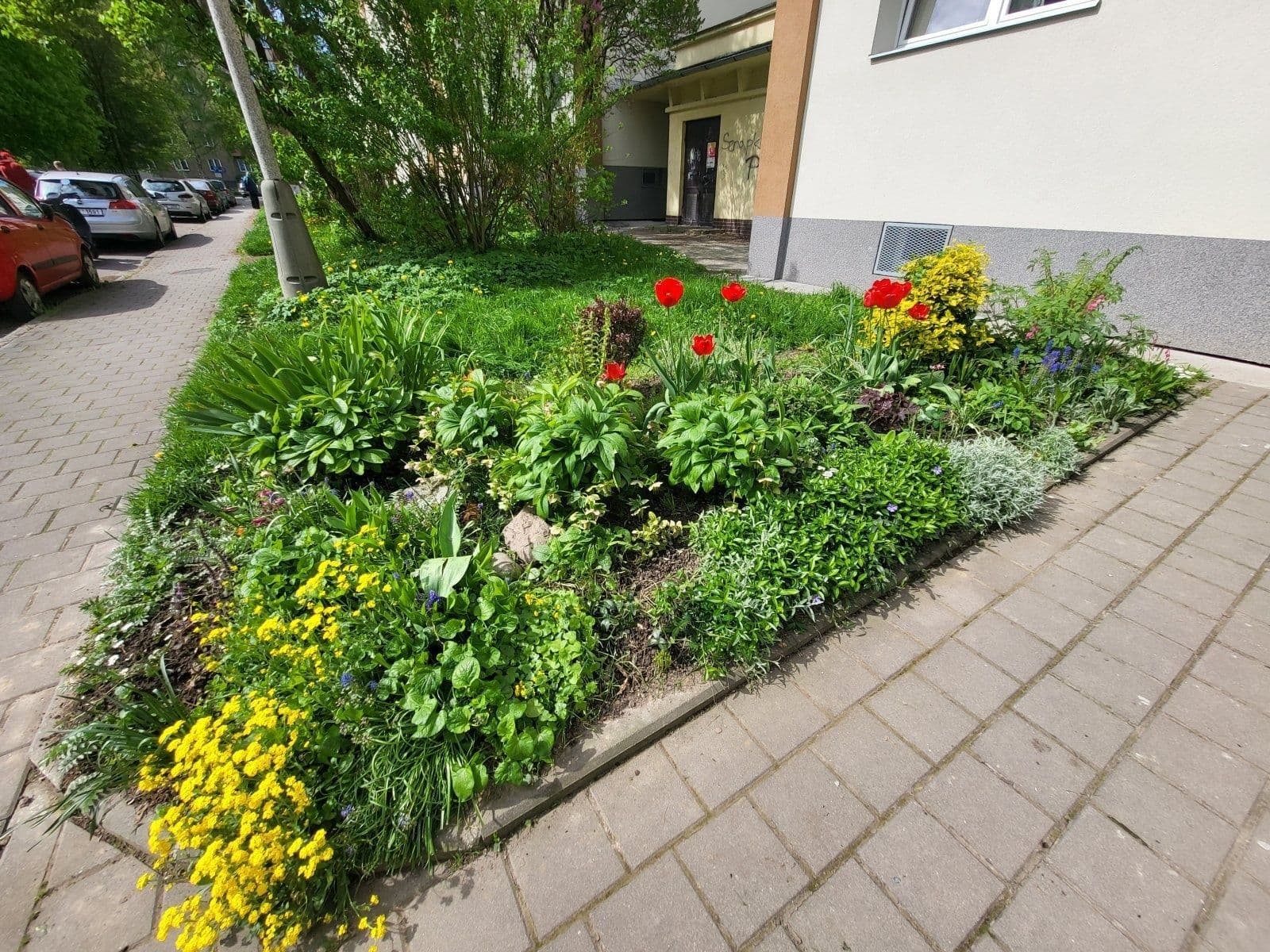 Pronájem bytu 3+1 67 m², Edisonova, Havířov, Moravskoslezský kraj Pronájem bytu 3+1 67 m², Edisonova, Havířov, Moravskoslezský kraj