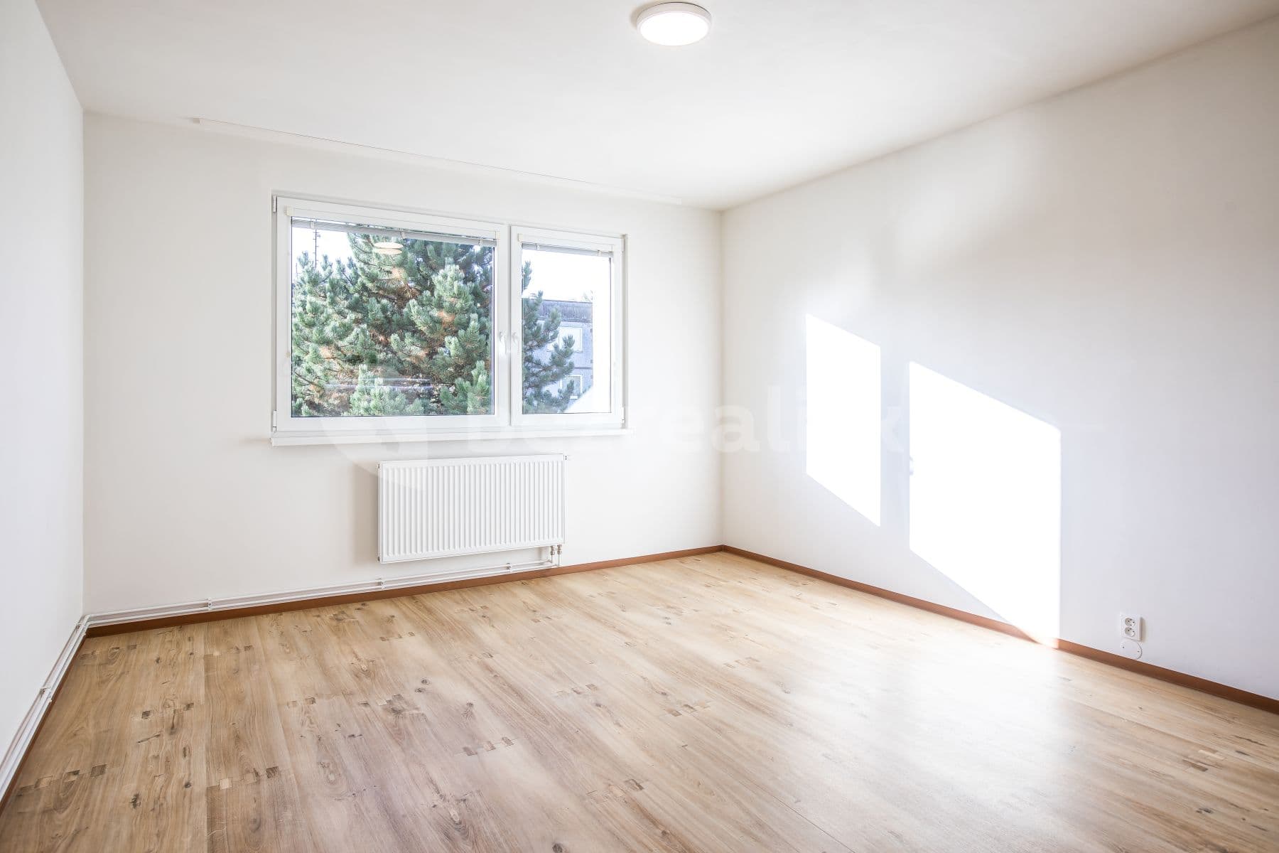 Pronájem bytu 2+kk 55 m², Hodkovická, Liberec, Liberecký kraj Pronájem bytu 2+kk 55 m², Hodkovická, Liberec, Liberecký kraj