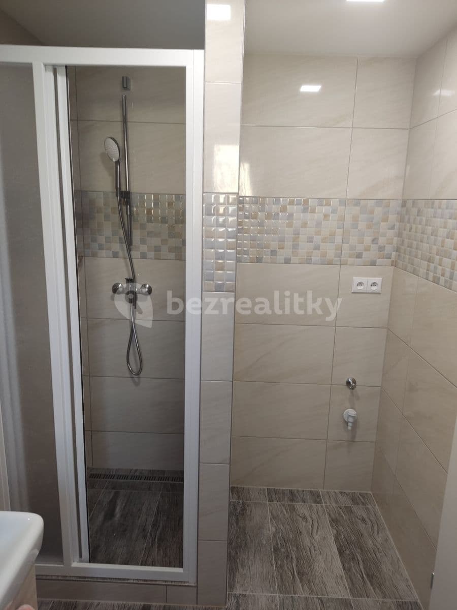 Pronájem bytu 2+1 53 m², V Sedlci, Praha, Praha Pronájem bytu 2+1 53 m², V Sedlci, Praha, Praha