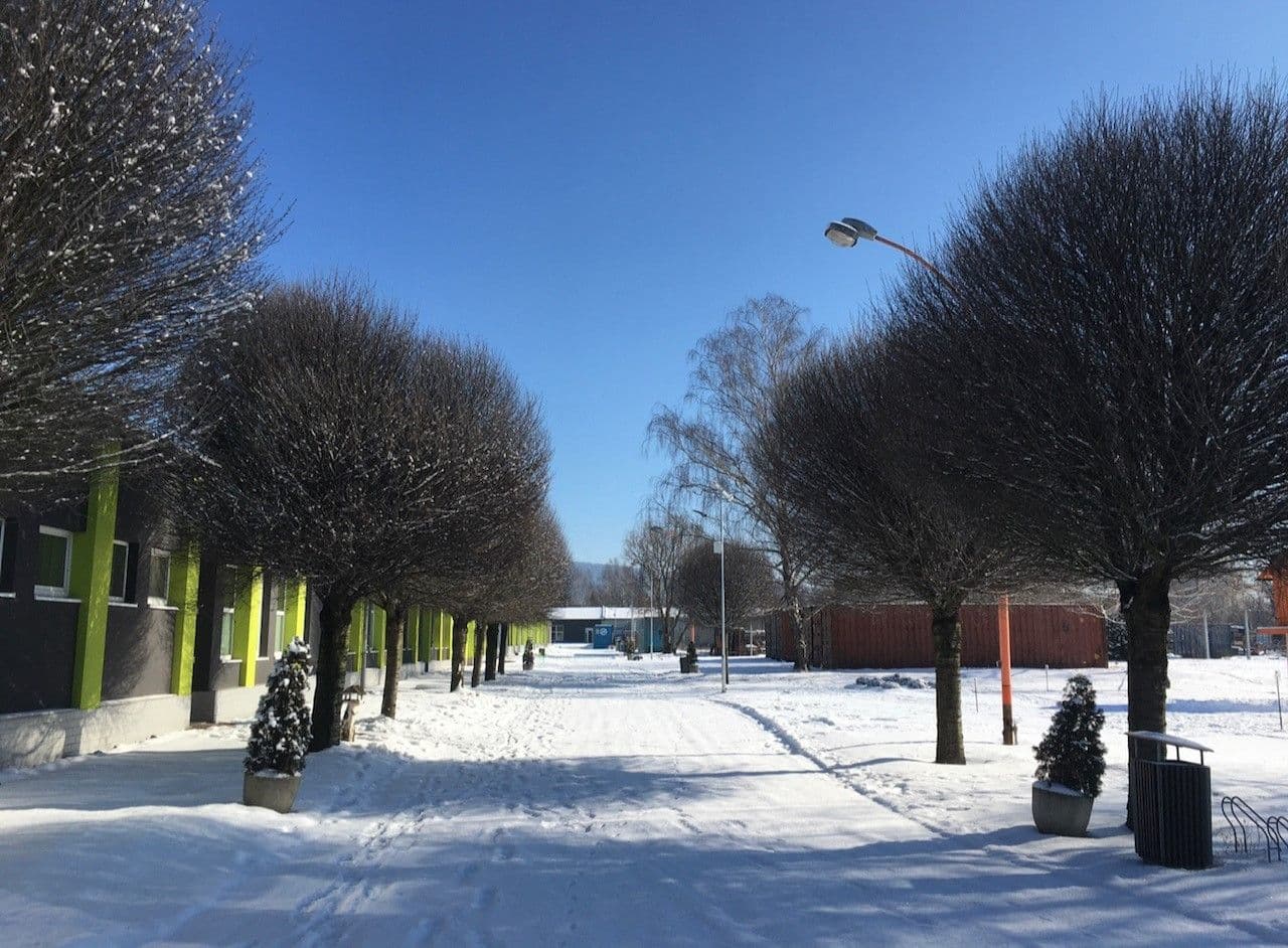 Pronájem nebytového prostoru 90 m², Samostatnost, Holešov, Zlínský kraj Pronájem nebytového prostoru 90 m², Samostatnost, Holešov, Zlínský kraj