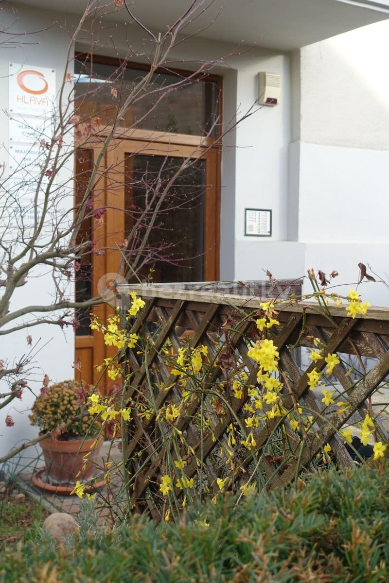 Pronájem bytu 2+1 55 m², Světická, Praha, Praha Pronájem bytu 2+1 55 m², Světická, Praha, Praha