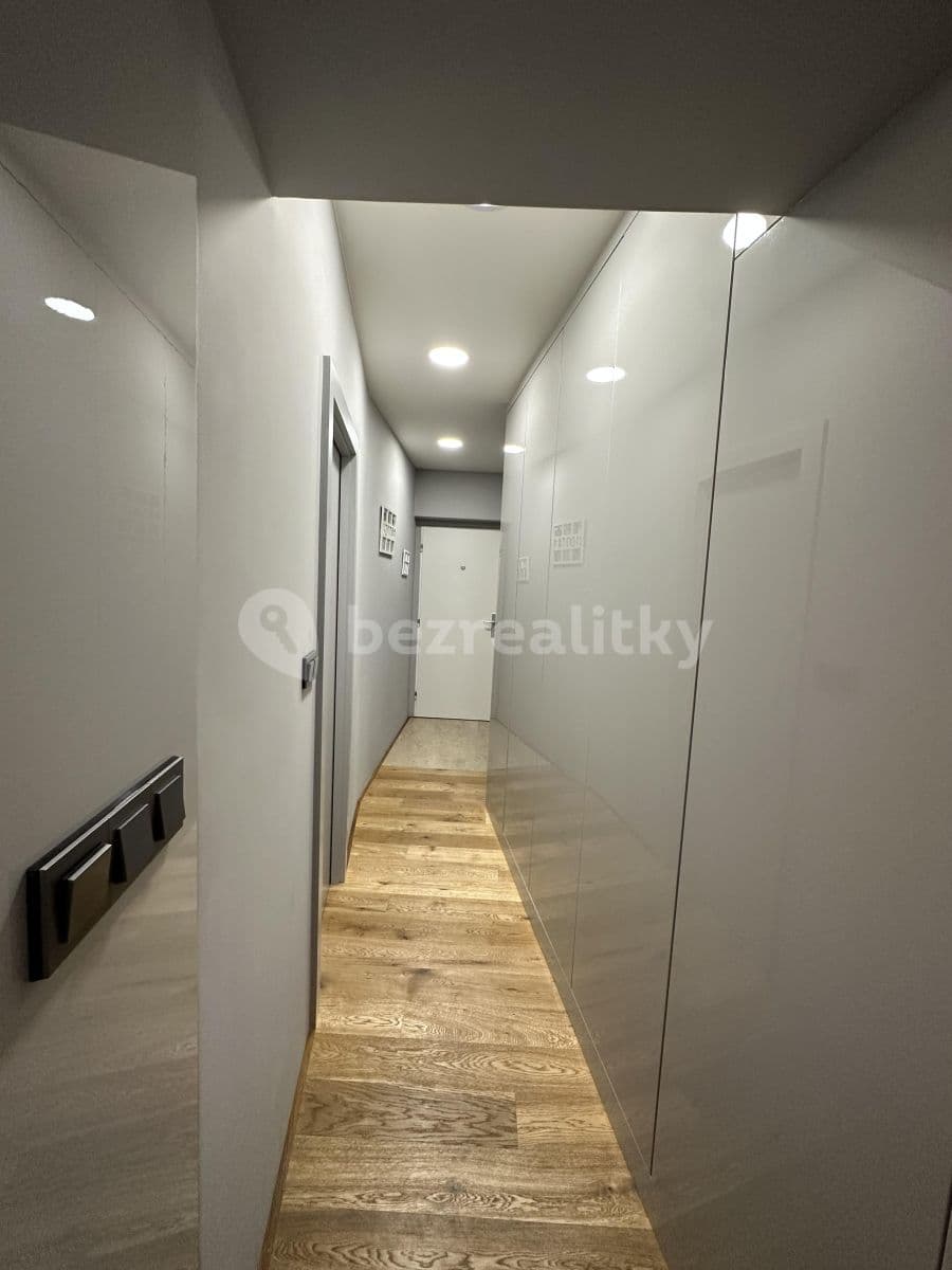 Pronájem bytu 2+kk 56 m², Kociánka, Brno, Jihomoravský kraj Pronájem bytu 2+kk 56 m², Kociánka, Brno, Jihomoravský kraj