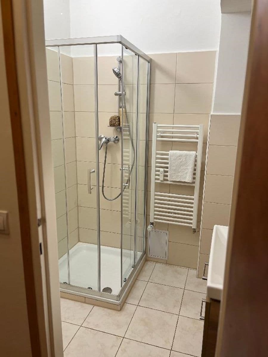 Pronájem bytu 1+1 47 m², Maškova, Brno, Jihomoravský kraj Pronájem bytu 1+1 47 m², Maškova, Brno, Jihomoravský kraj