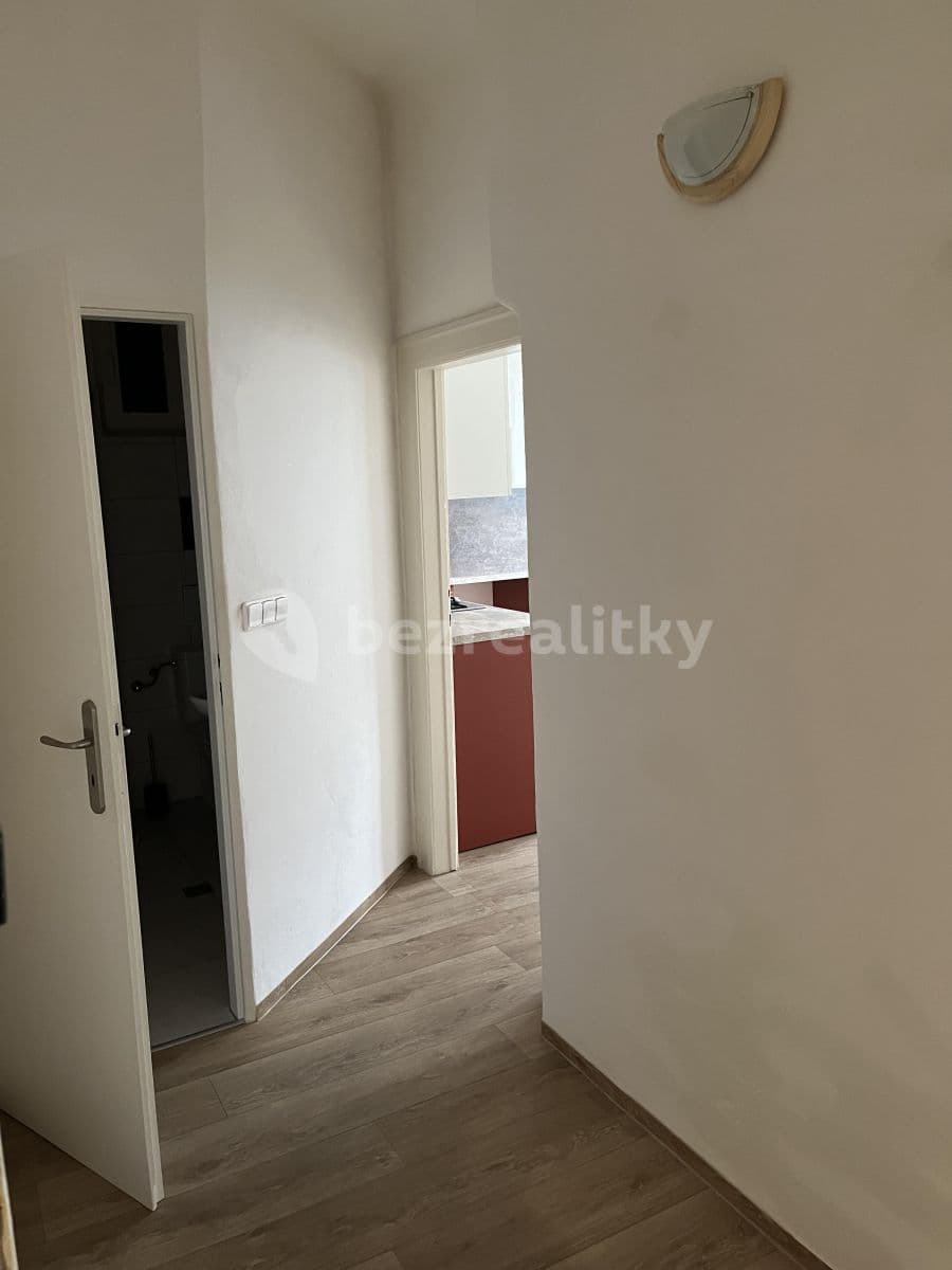 Pronájem bytu 1+1 41 m², Křídlovická, Brno, Jihomoravský kraj Pronájem bytu 1+1 41 m², Křídlovická, Brno, Jihomoravský kraj
