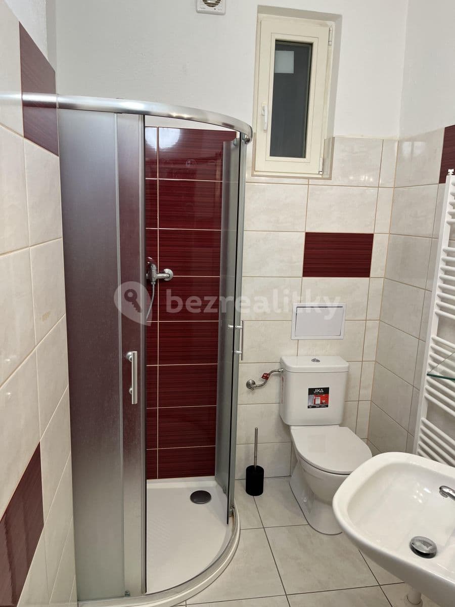 Pronájem bytu 1+1 41 m², Křídlovická, Brno, Jihomoravský kraj Pronájem bytu 1+1 41 m², Křídlovická, Brno, Jihomoravský kraj