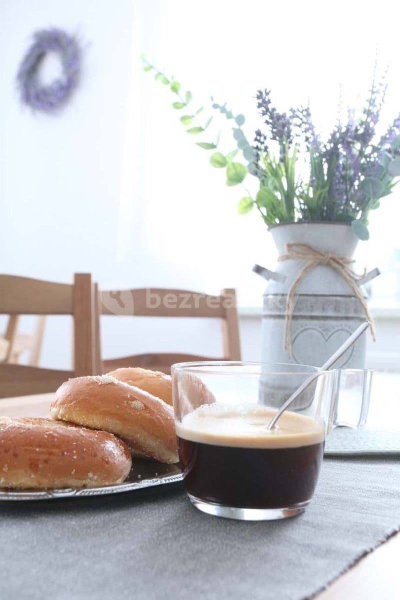 Pronájem chaty, chalupy, Světlá nad Sázavou, Kraj Vysočina Pronájem chaty, chalupy, Světlá nad Sázavou, Kraj Vysočina