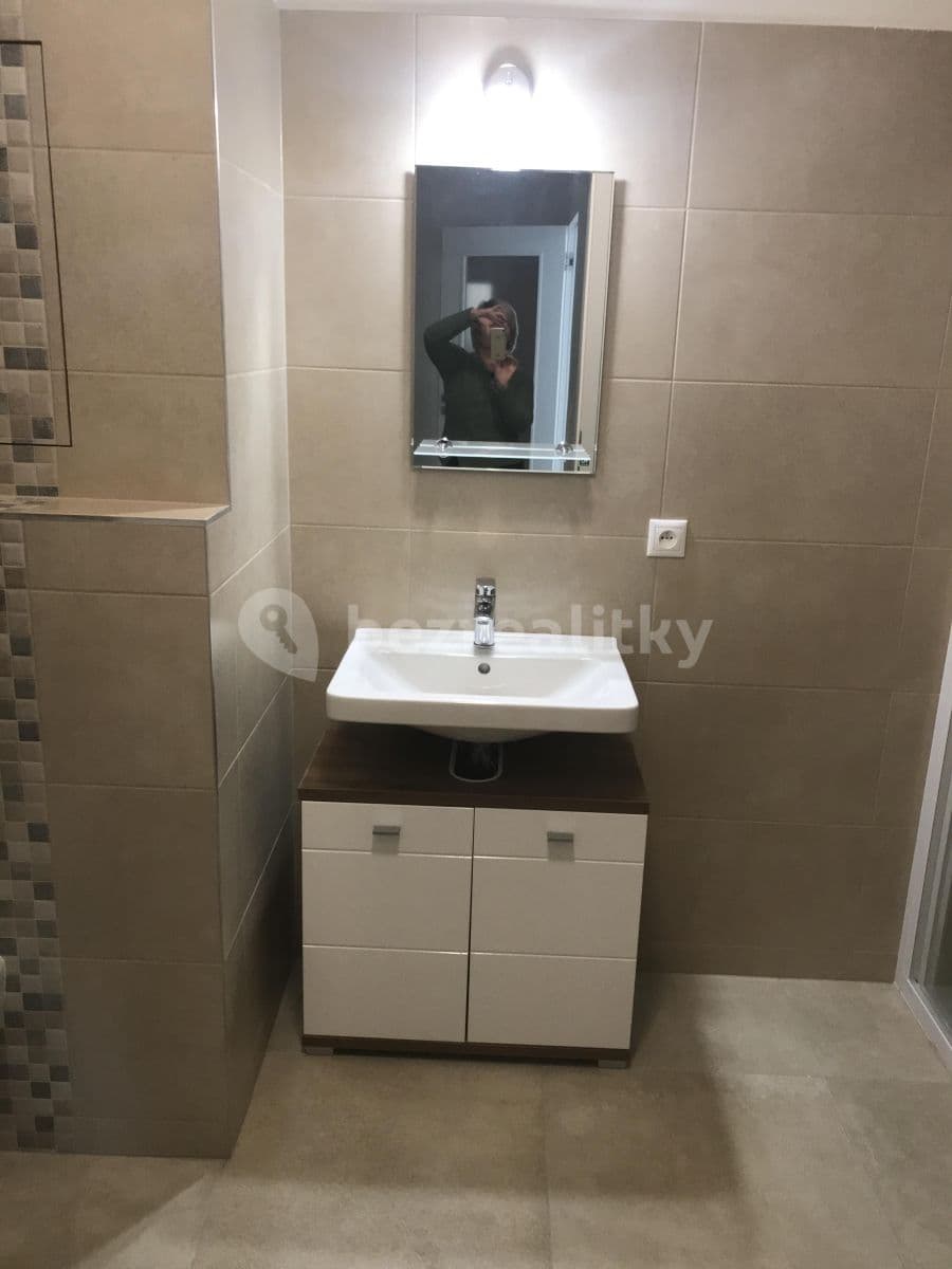 Pronájem bytu 2+kk 65 m², Nová, České Budějovice, Jihočeský kraj Pronájem bytu 2+kk 65 m², Nová, České Budějovice, Jihočeský kraj