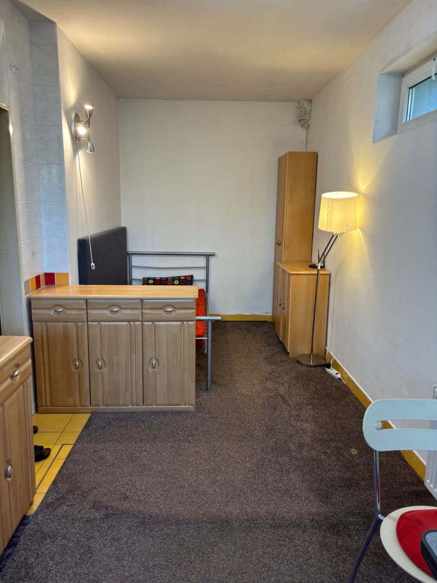 Pronájem bytu 1+kk 20 m², Roztylské sady, Praha, Praha Pronájem bytu 1+kk 20 m², Roztylské sady, Praha, Praha