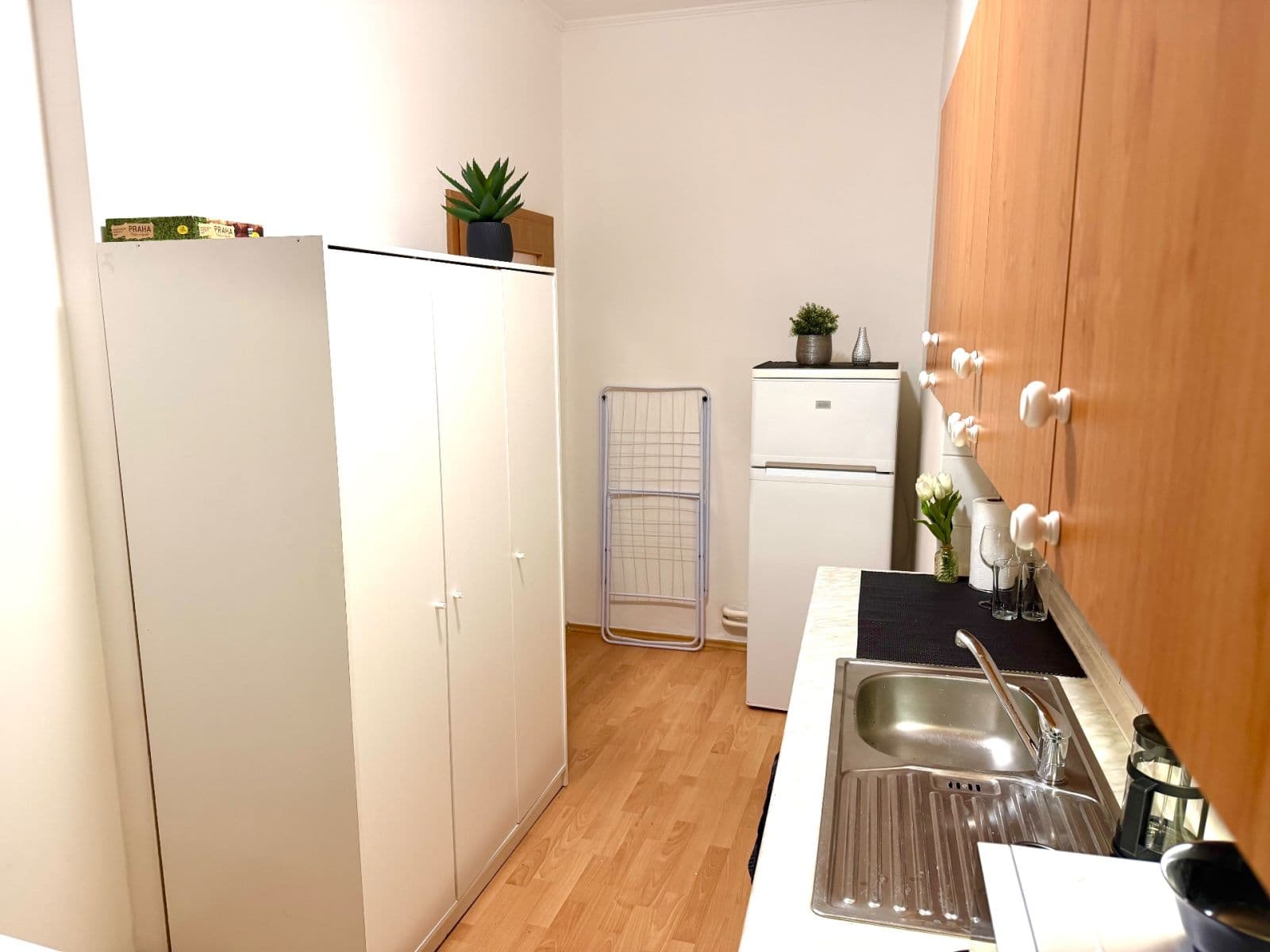 Pronájem bytu 1+1 52 m², Tylovo náměstí, Praha, Praha Pronájem bytu 1+1 52 m², Tylovo náměstí, Praha, Praha