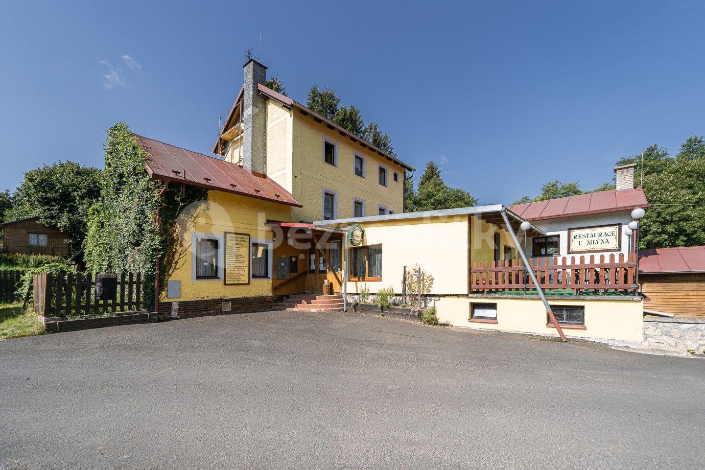 Prodej nebytového prostoru 11.686 m², Stará Voda, Karlovarský kraj