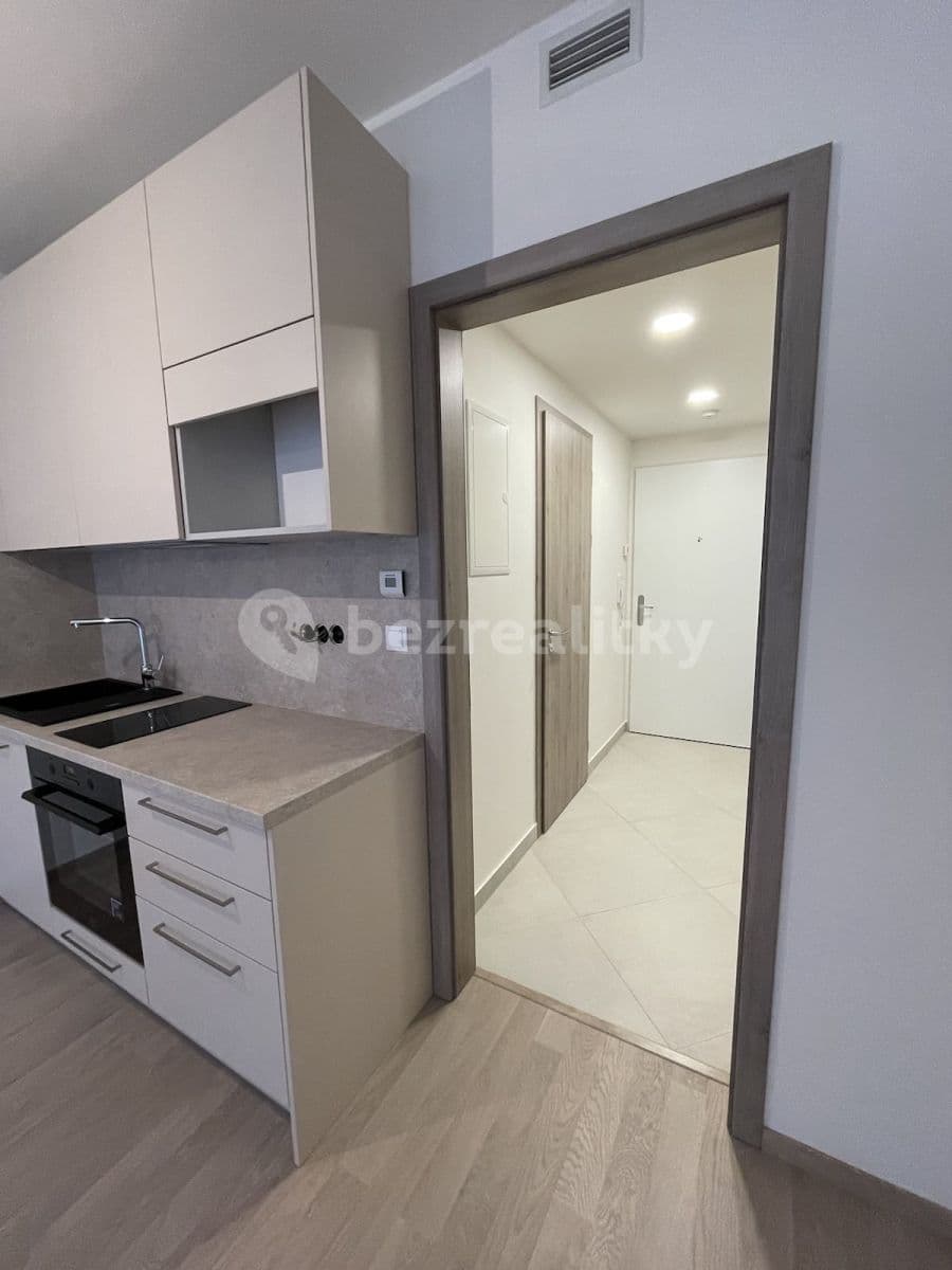 Pronájem bytu 1+kk 35 m², Do Zahrádek Ⅰ, Praha, Praha Pronájem bytu 1+kk 35 m², Do Zahrádek Ⅰ, Praha, Praha
